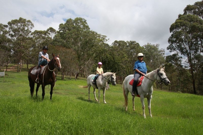 Dungog_Common_Horse_Riding.jpg