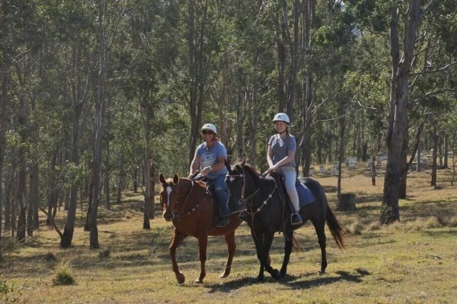 Horse%2BRiding%2BDungog%2BCommon.jpg