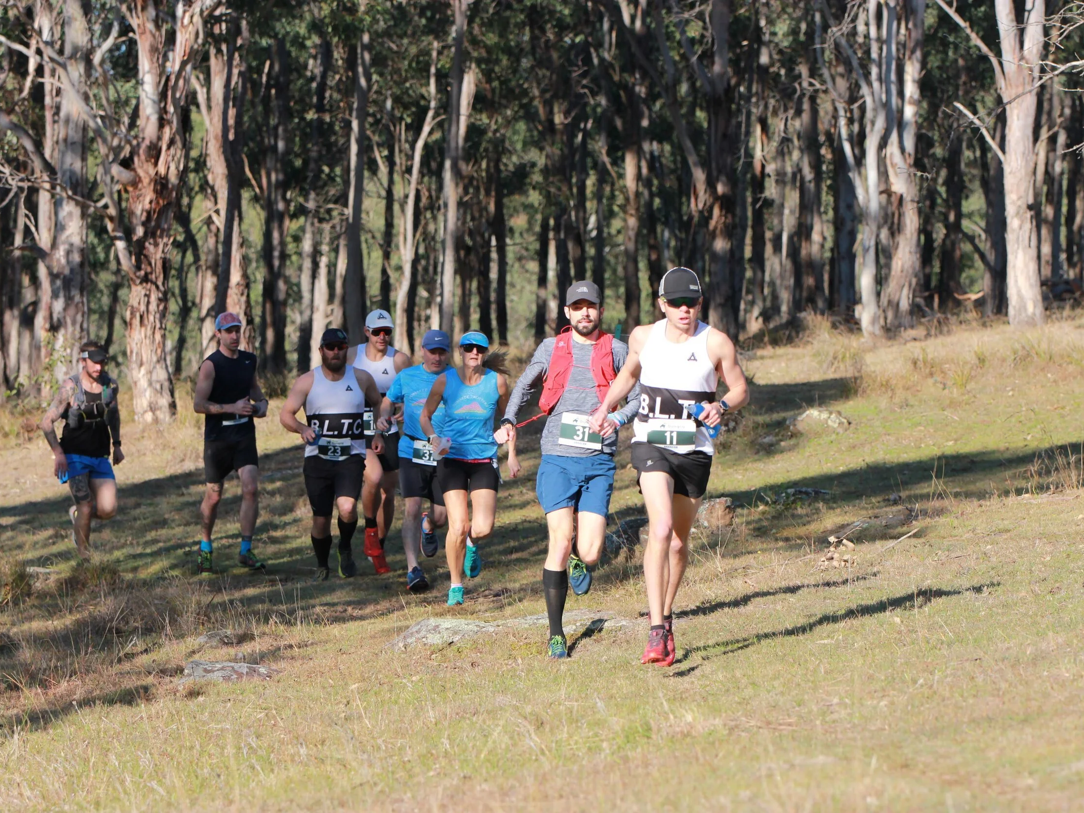 Run Dungog - Trail Run Dungog Common