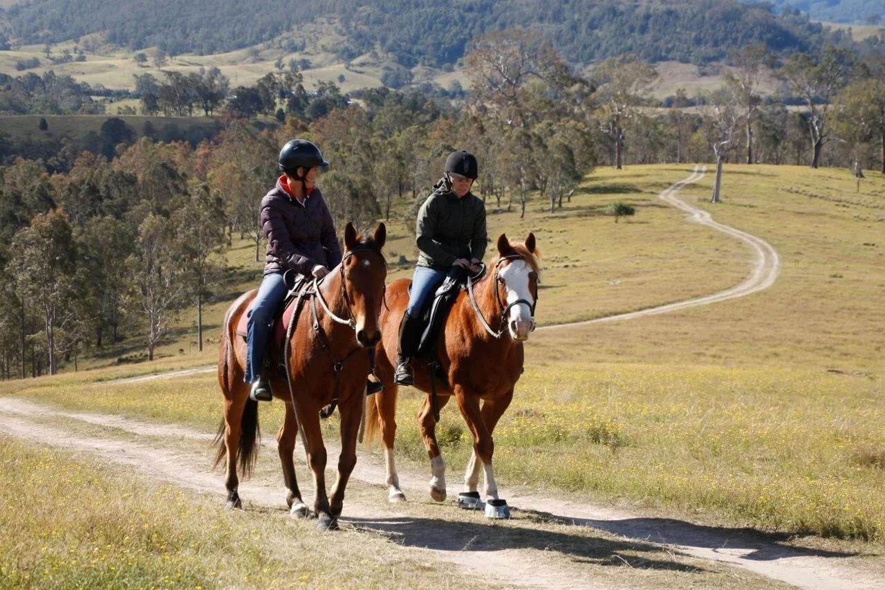 Horse+Riding+2.jpg