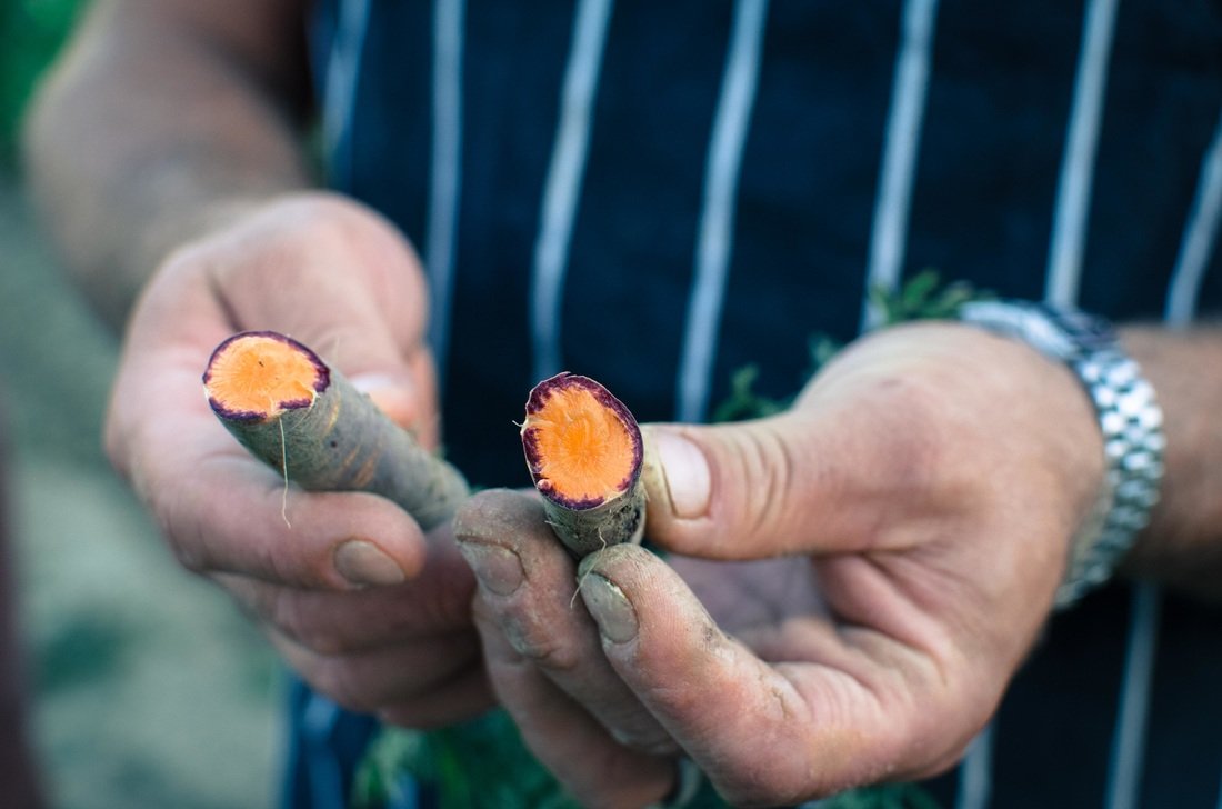 La Tavola Marche Farm Images - 6.jpg