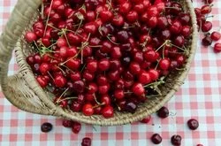 La Tavola Marche Farm Images - 12.jpg