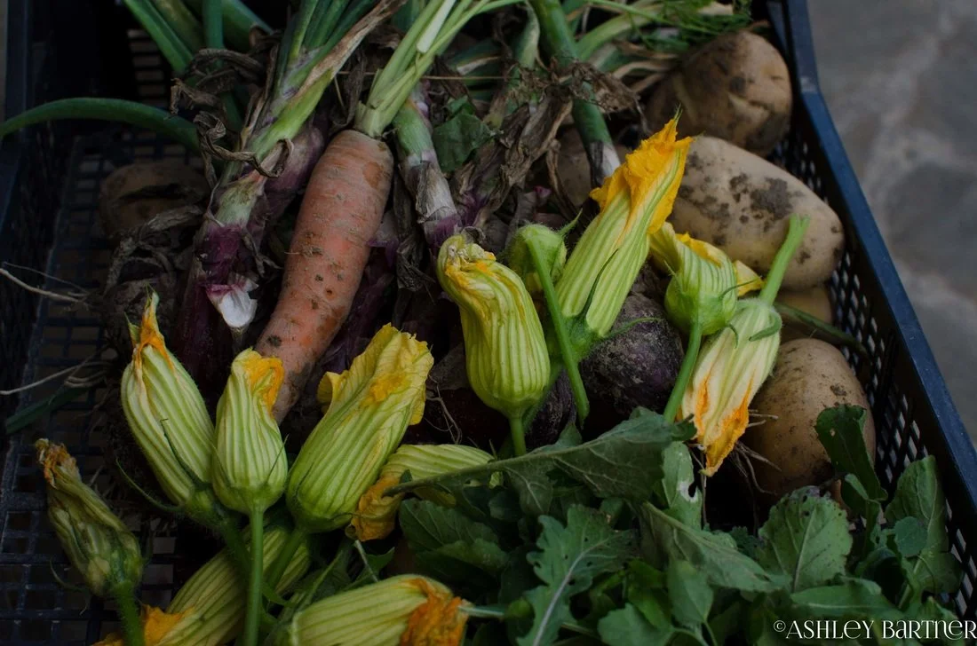 La Tavola Marche Farm Images - 1.jpg