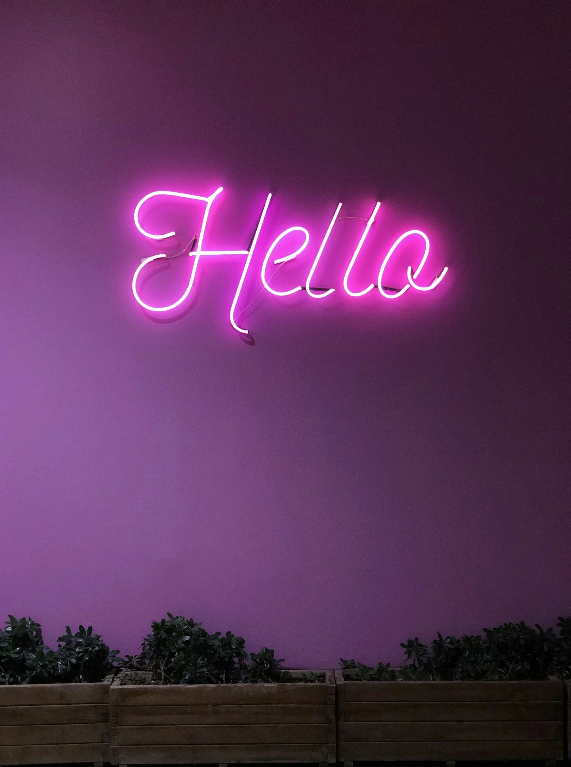 Pink neon sign that says 'Hello' on a dark wall with some greenery and wooden fencing at the bottom.