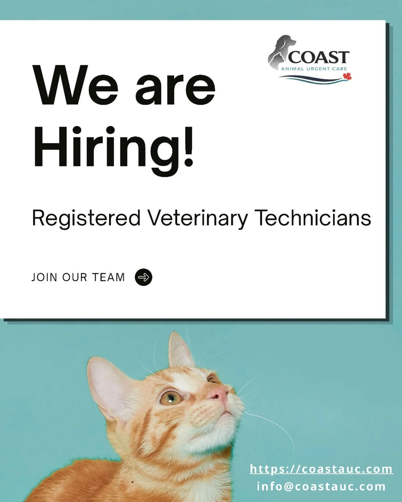 Now accepting resumes for Registered Veterinary Technicians, for December 2026 opening.