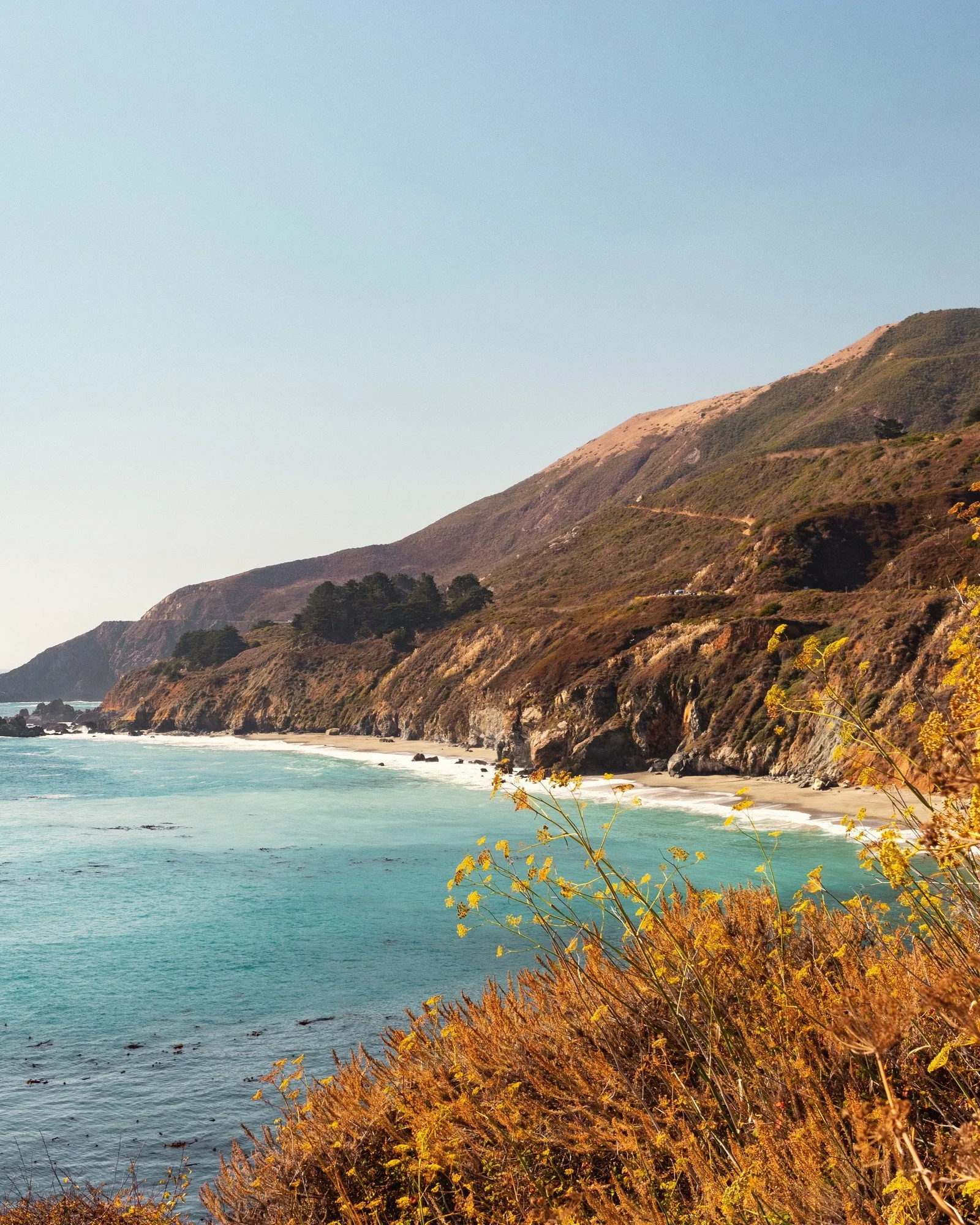 Cliffside coastline with green and brown vegetation, sandy beach, and ocean waves, under a clear sky.