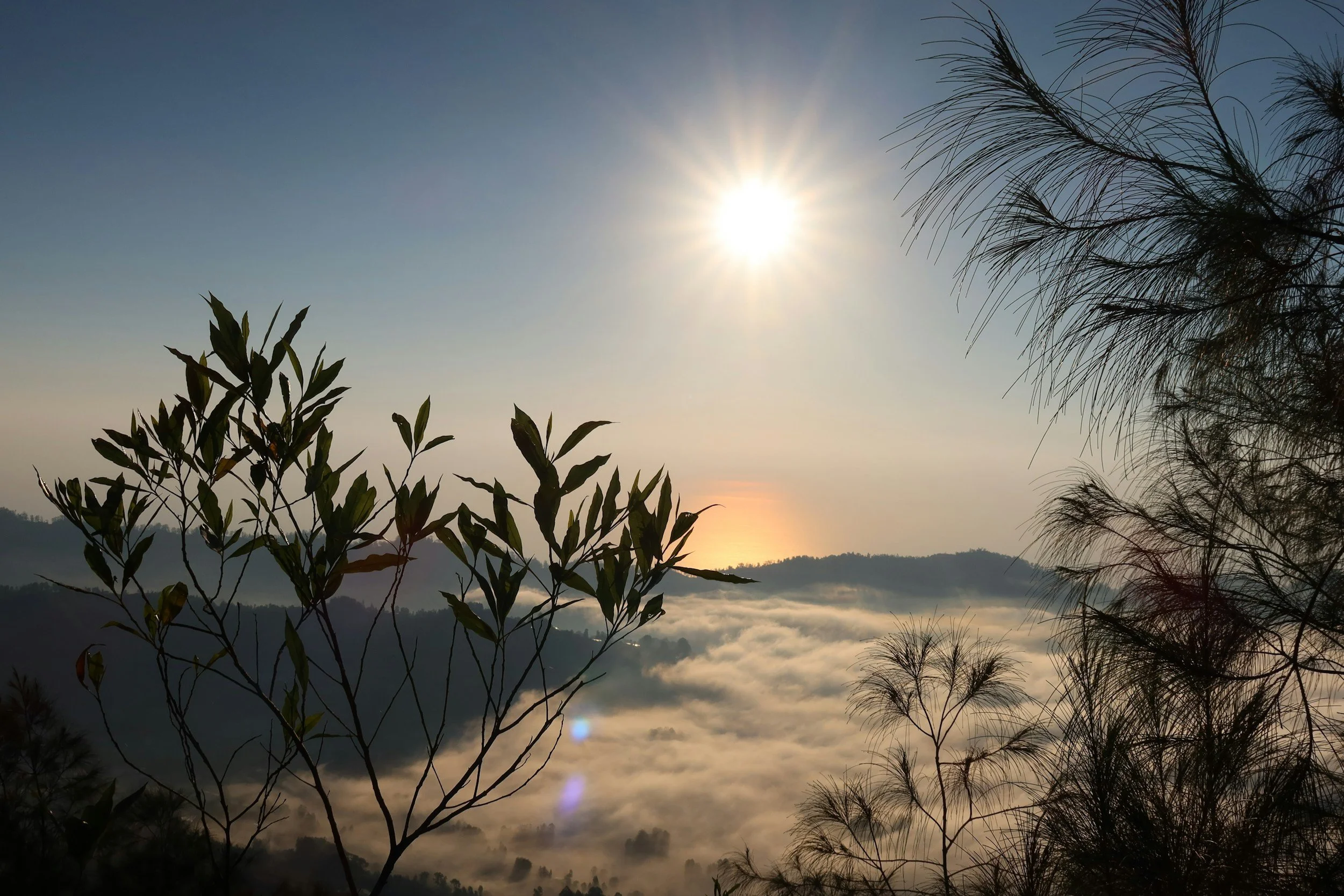 The image shows a scenic view of a sunrise or sunset with the sun shining brightly in the sky, and trees and foliage in the foreground. There are little clouds or fog below, creating a peaceful atmosphere.