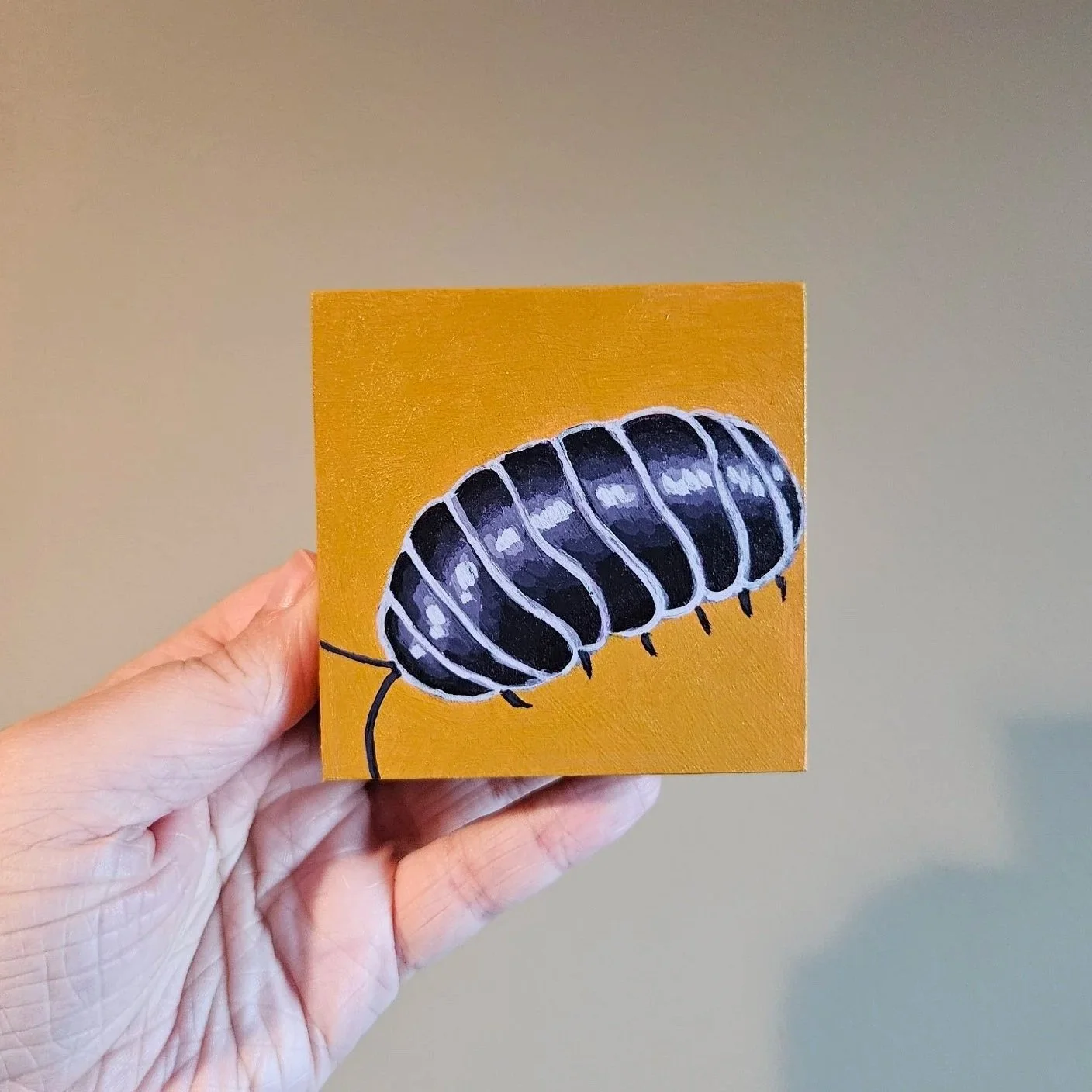 Pill Bug/ Roly Poly