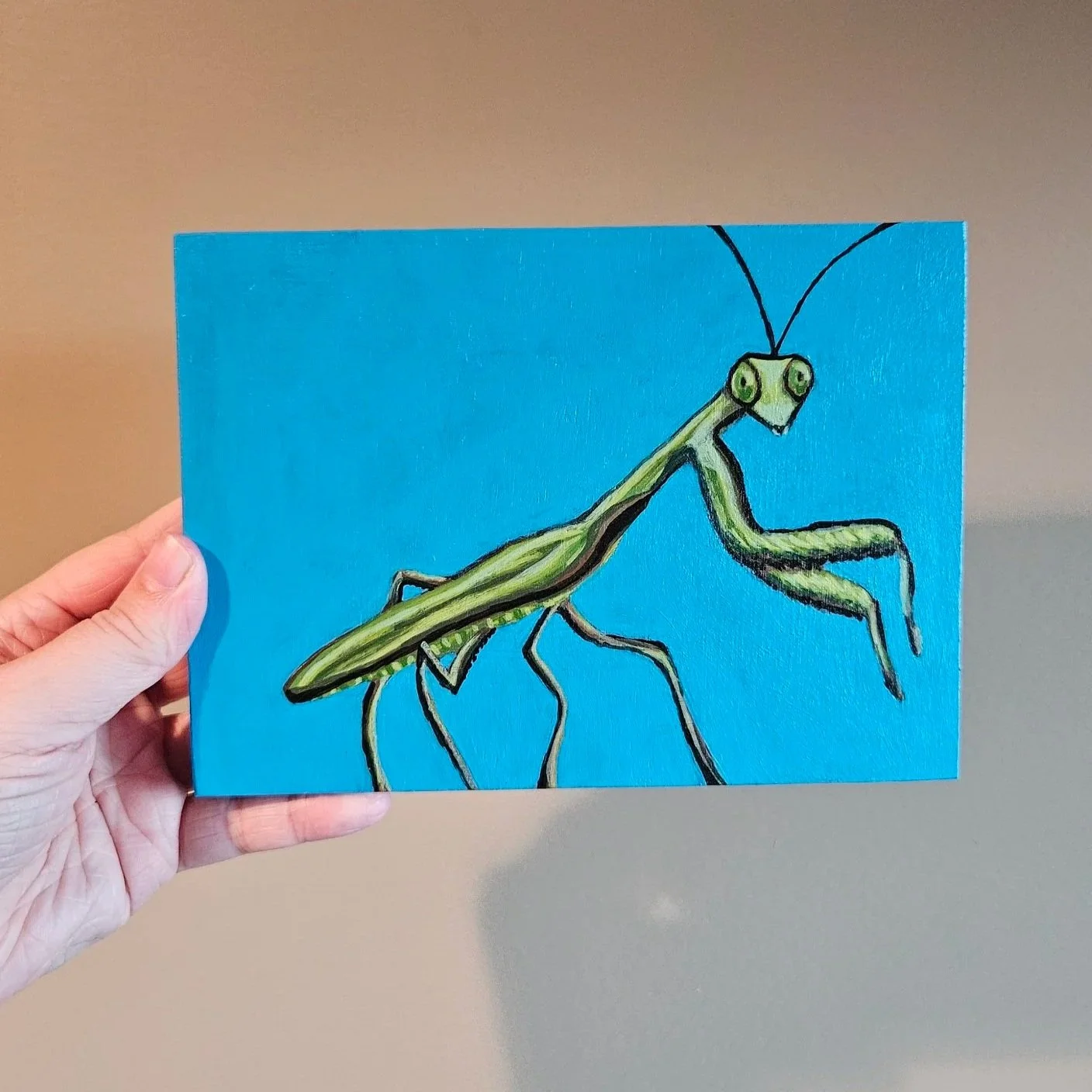 Praying Mantis