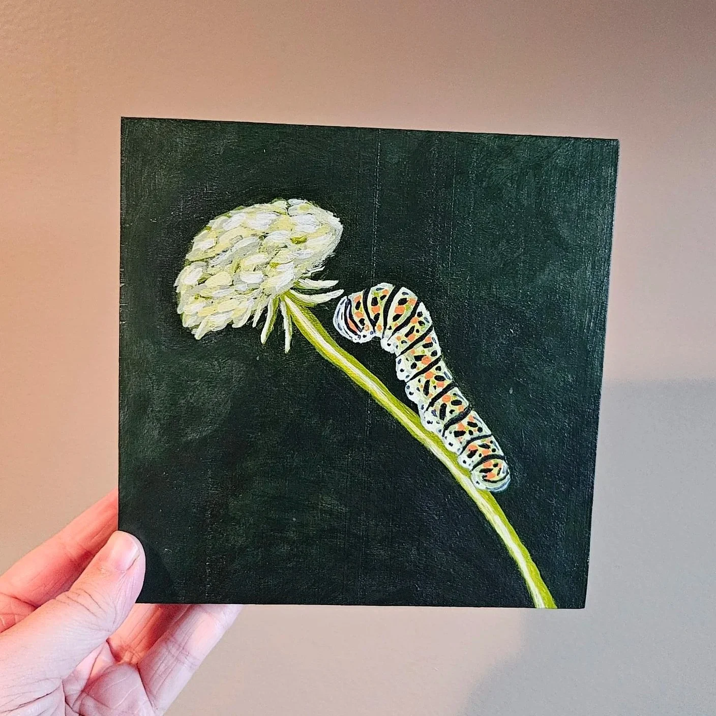 Caterpillar