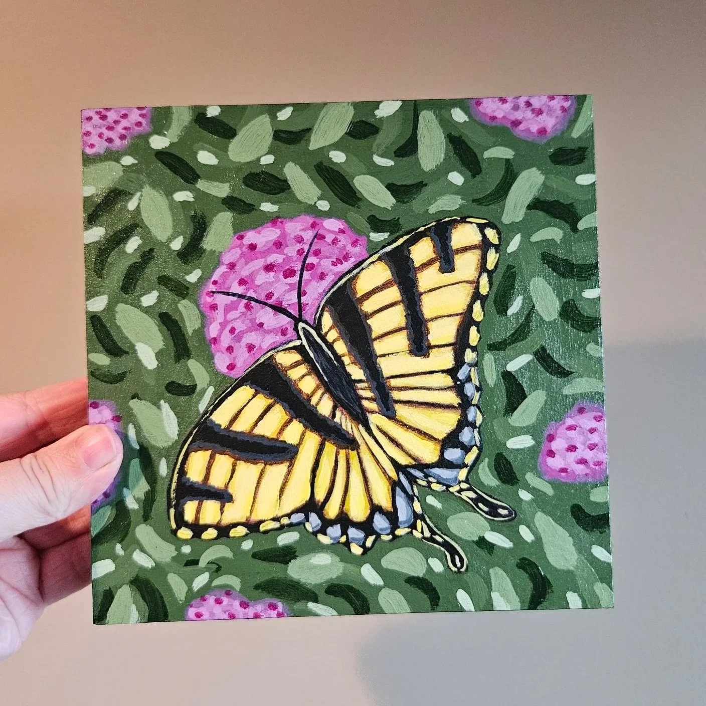 Swallowtail Butterfly