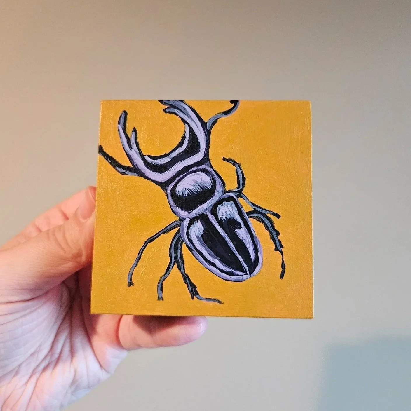 Stag Beetle