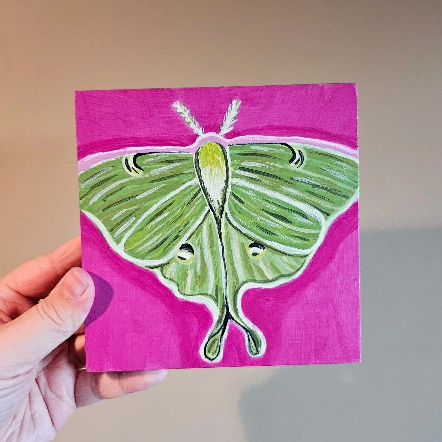 Luna Moth