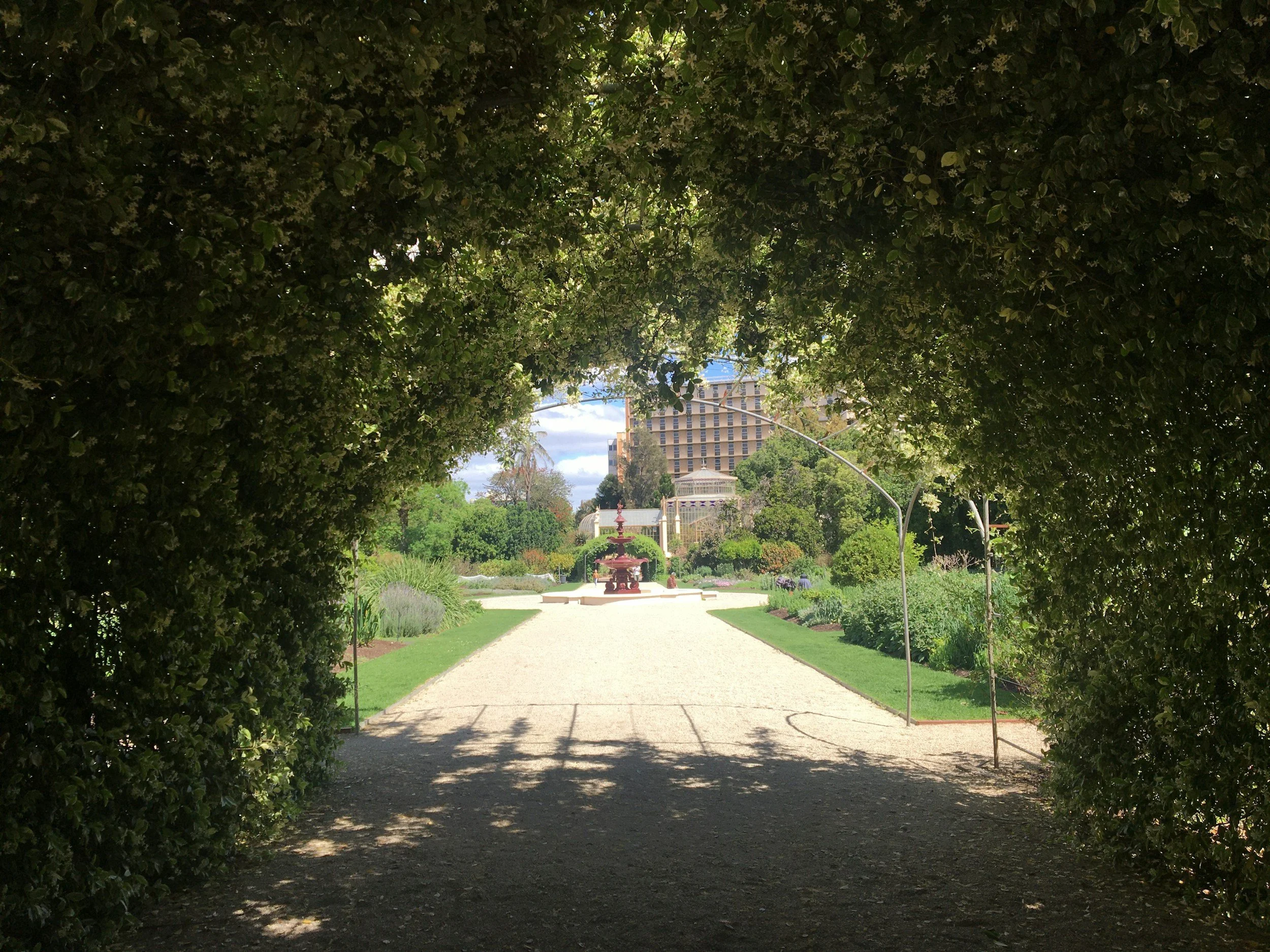 A garden path viewed from beneath a canopy of bushes, with a fountain and building in the distance.