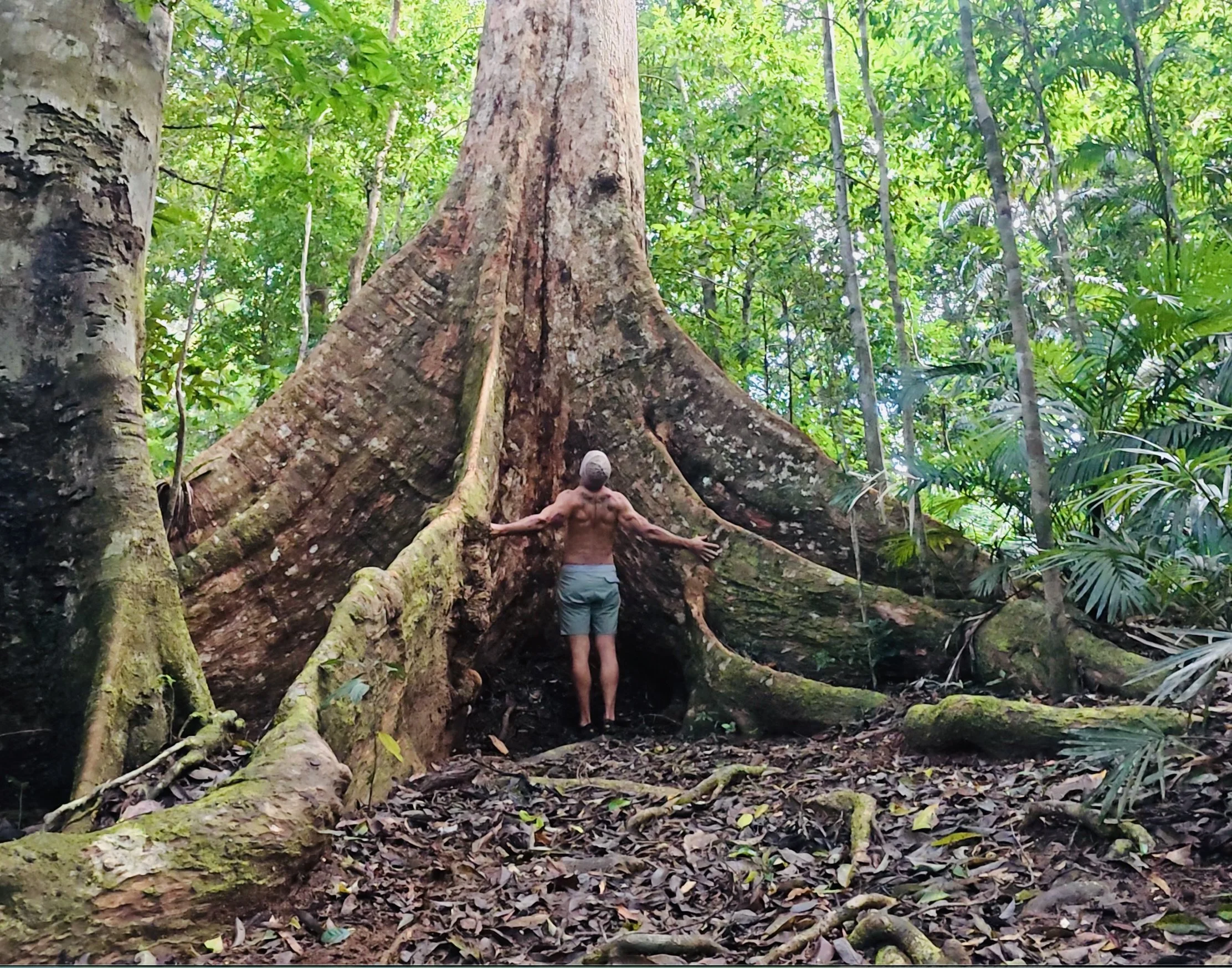 A shirtless man with a hat standing in front of a large tree in a lush, green forest.