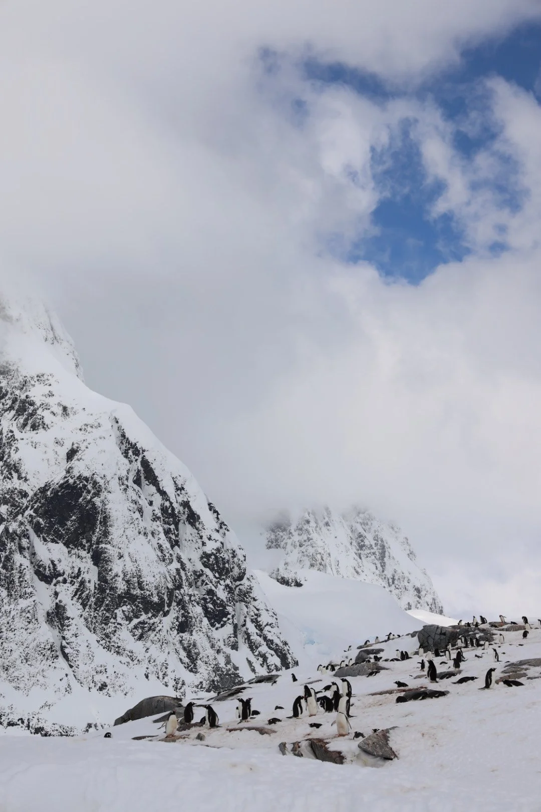 Antarctica