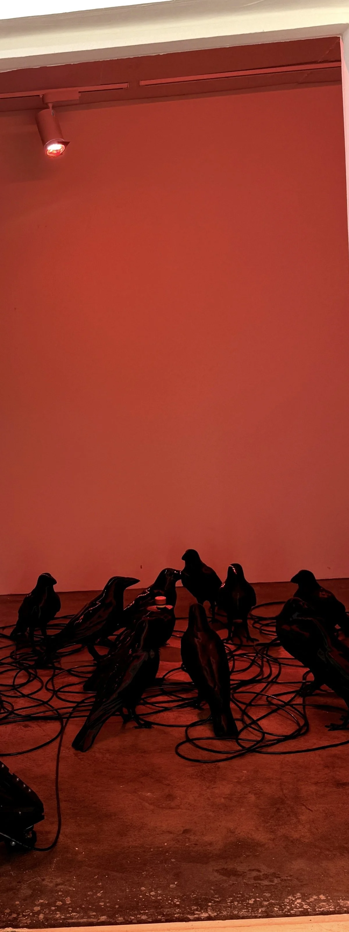 "주류 미술계 문법 거부"… 신진 입체 예술가 5인의 '괴짜 실험실'