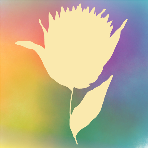 6.png