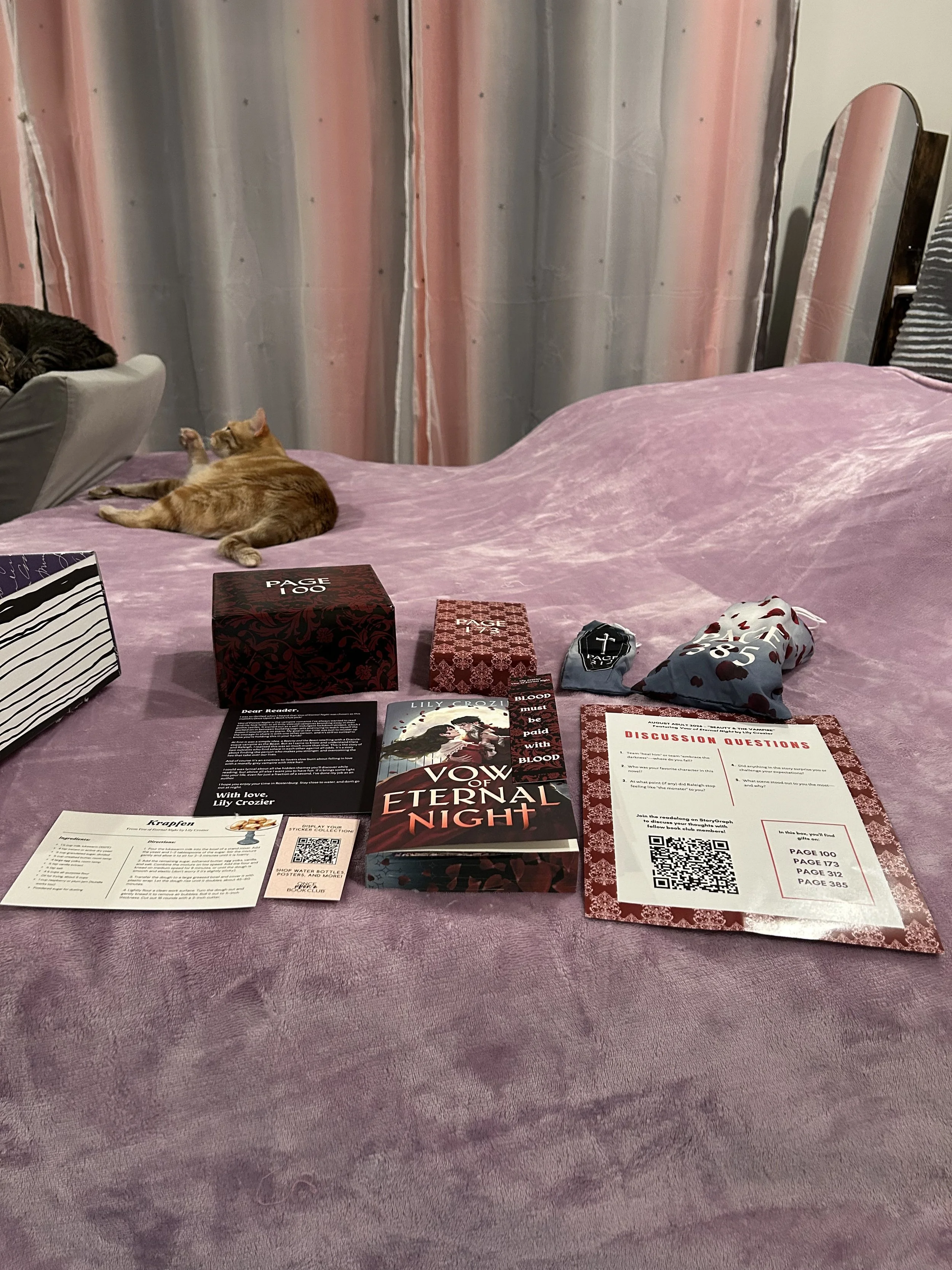 I Read Just Enough to Open the Gifts: Once Upon a Book Club’s Beauty &amp; the Vampire Box