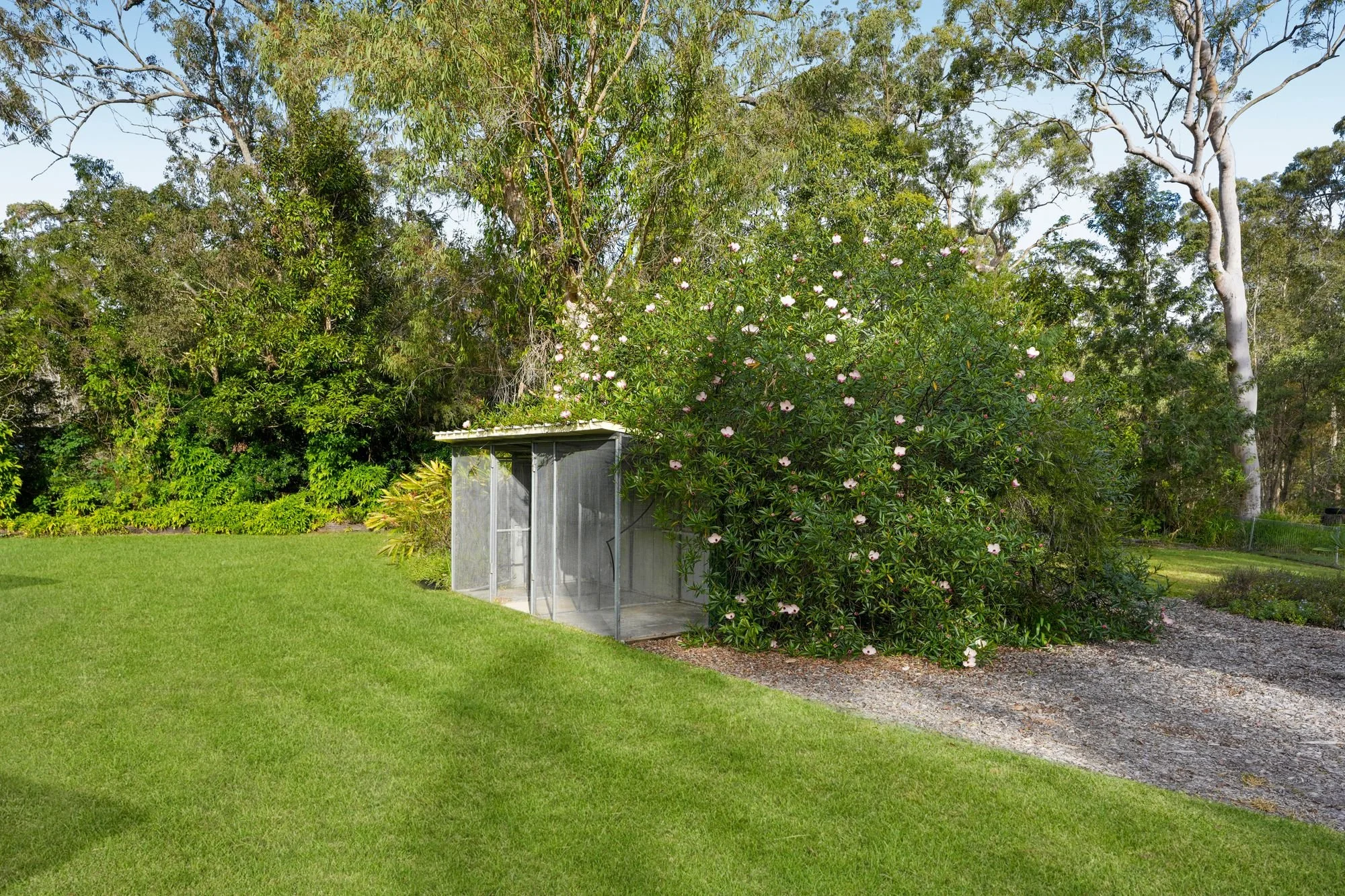 31_52-58 Lagoon Rd, Carbrook QLD 4130, Australia (20).JPG