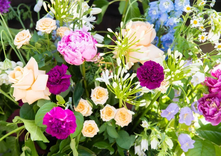 Closeup_flowersQ.webp