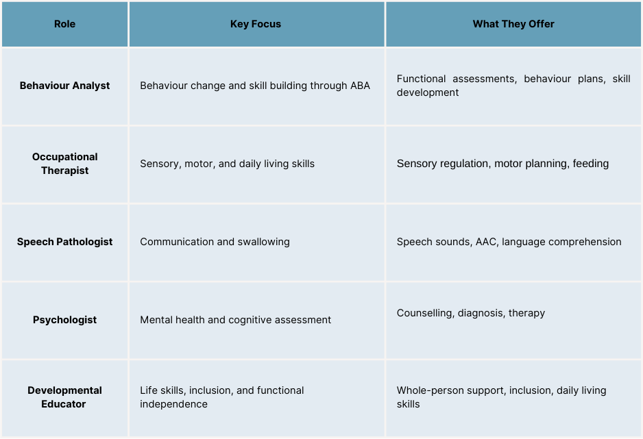 What Is a Behaviour Analyst