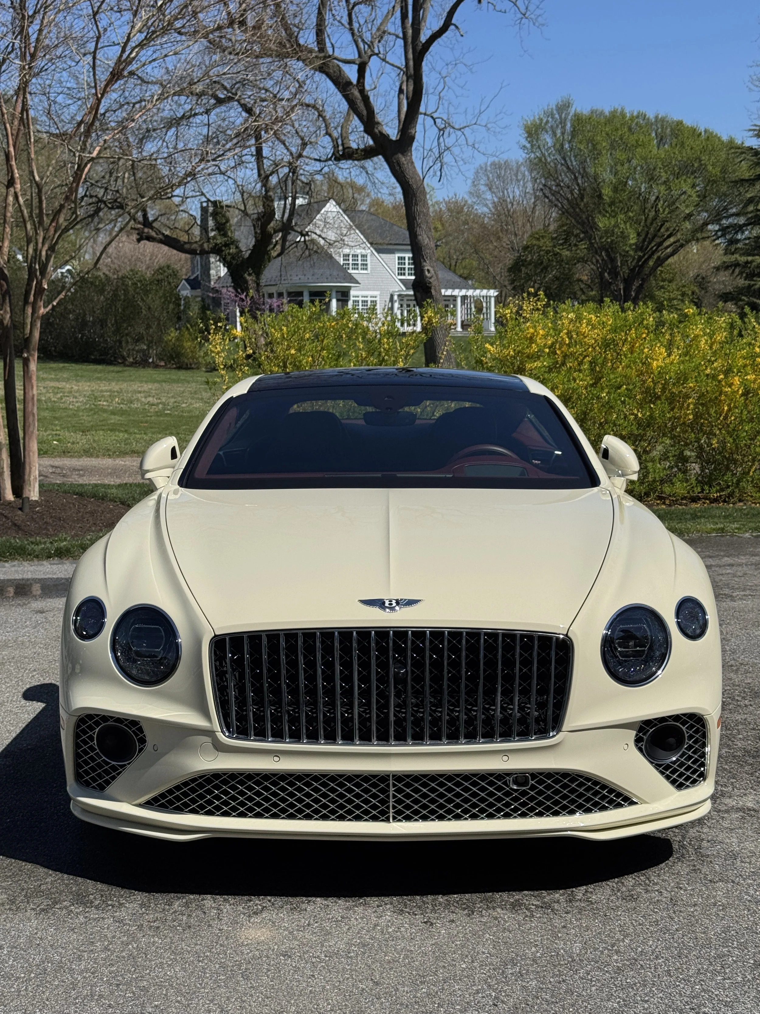 IMG_4568.JPG