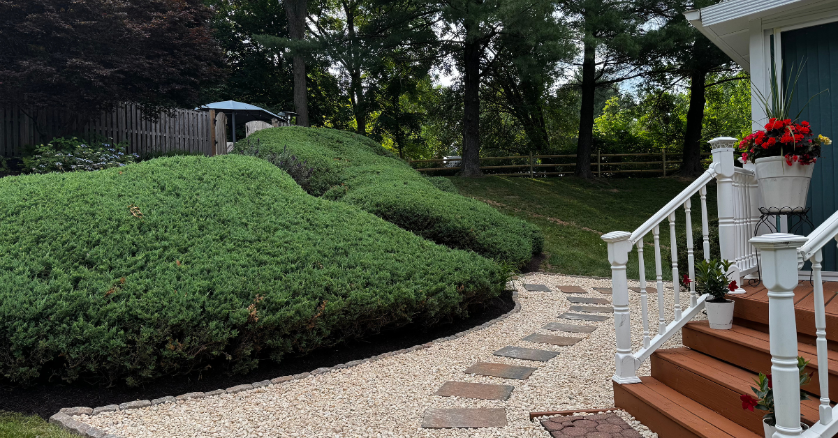 2nd landscape canva .png
