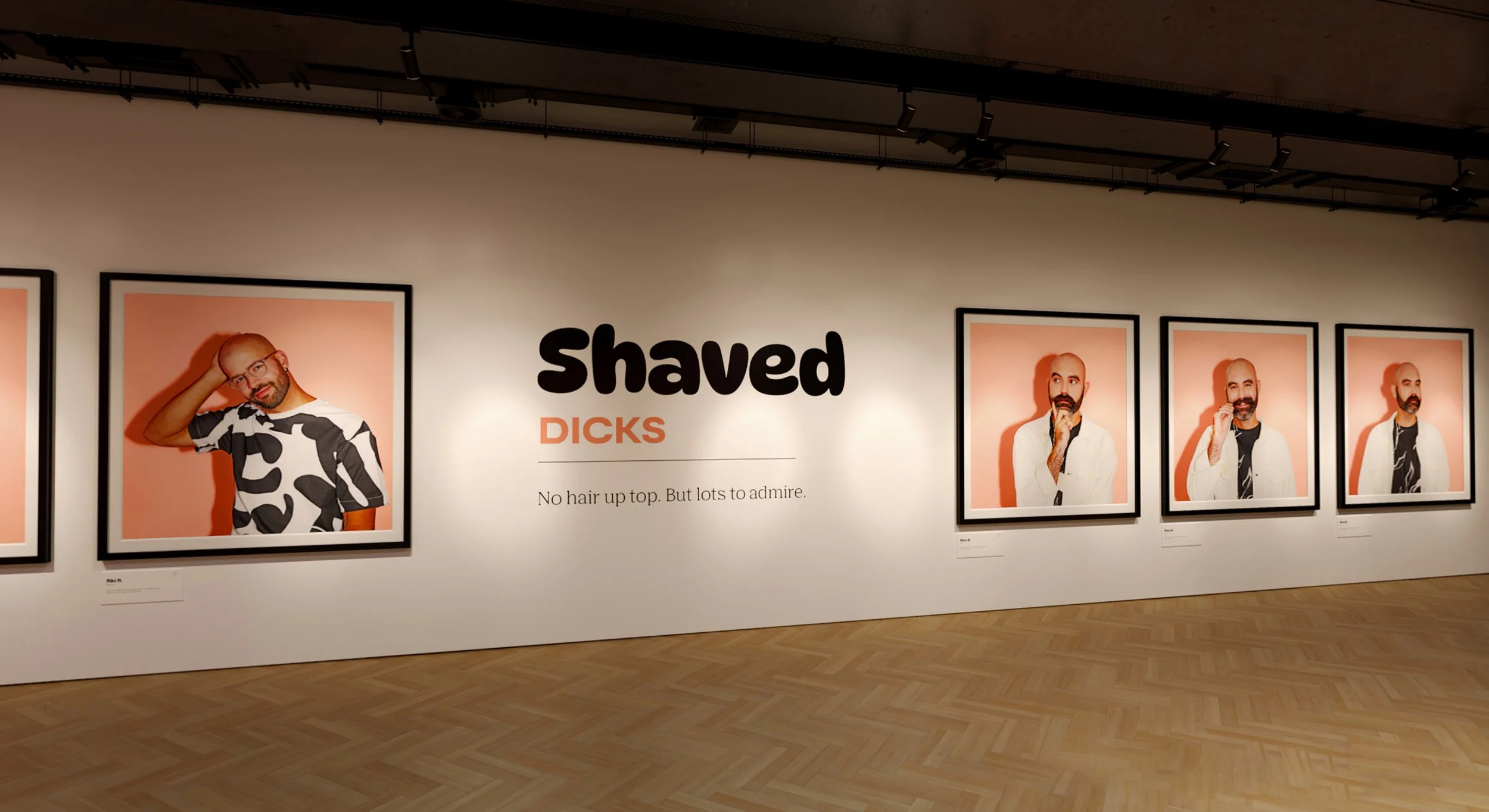 An art exhibition featuring a series of portraits of men with shaved heads, displayed on a white wall. The central text reads 'shaved DICKS' with a subtitle 'No hair up top. But lots to admire.'
