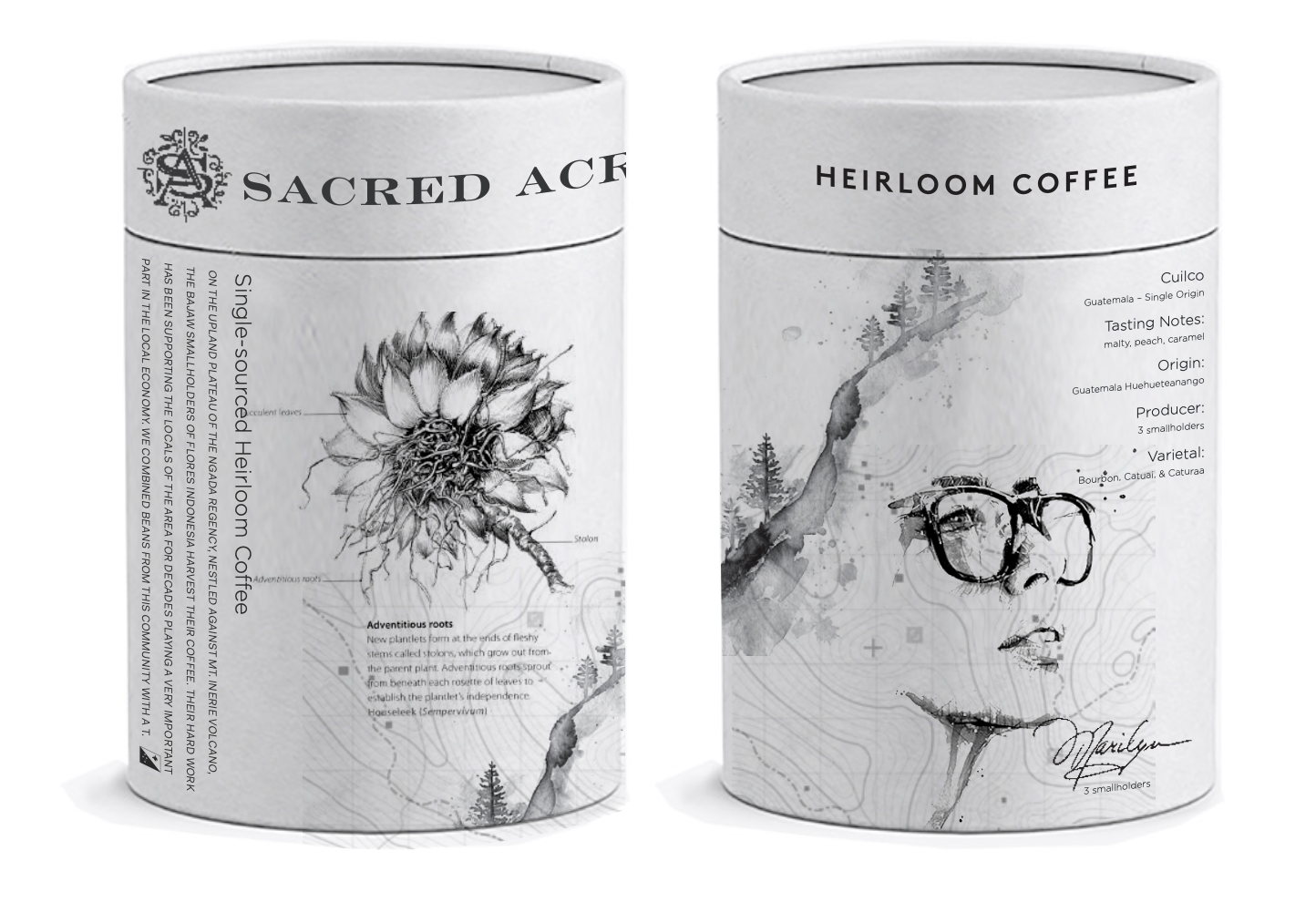 Coffee packaging with botanical illustrations and watercolor art, featuring the brands Sacred Acre and Heirloom Coffee, with detailed descriptions and signatures.