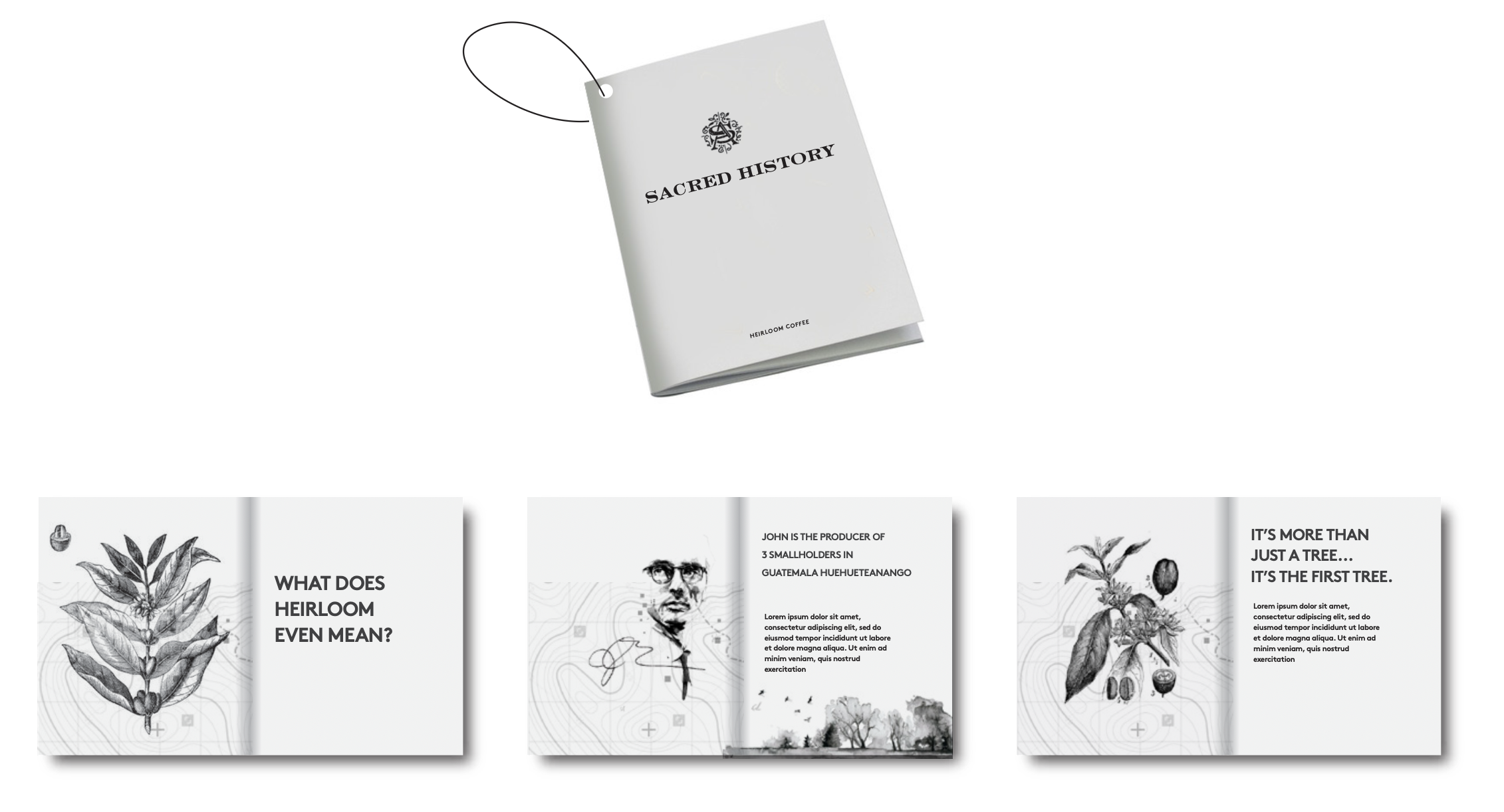 A white booklet titled "Sacred History" with a logo on the cover, hanging from a string, with pages featuring botanical illustrations and text about heirloom coffee, history, and trees.