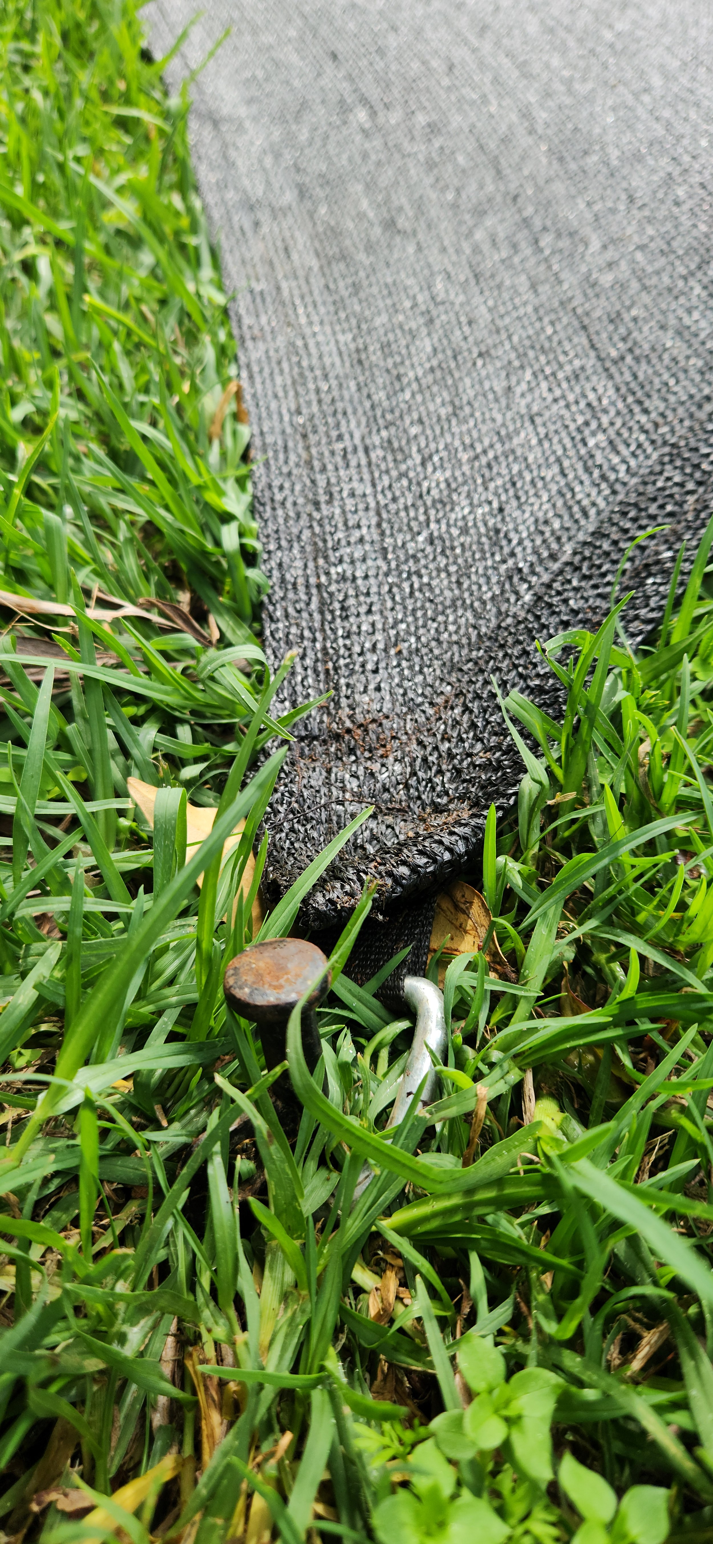 20260824_131009.jpg