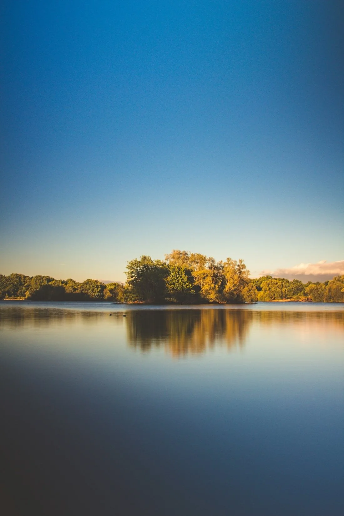 Ruhige Wasserlandschaft im Abendlicht