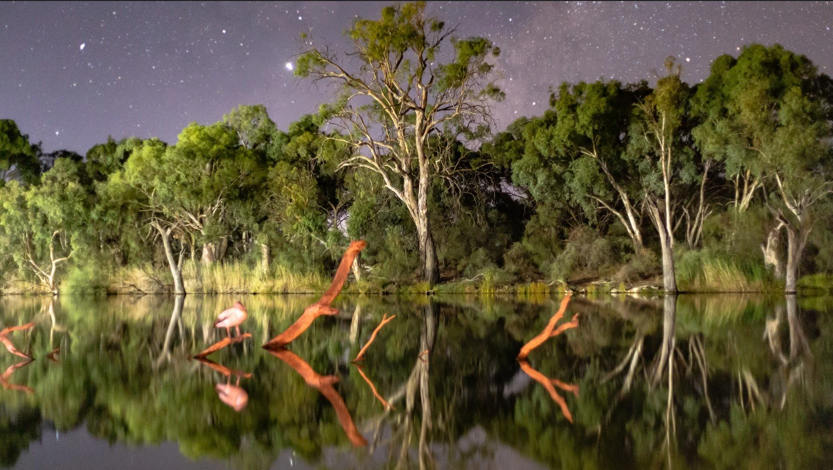 Stars over the water