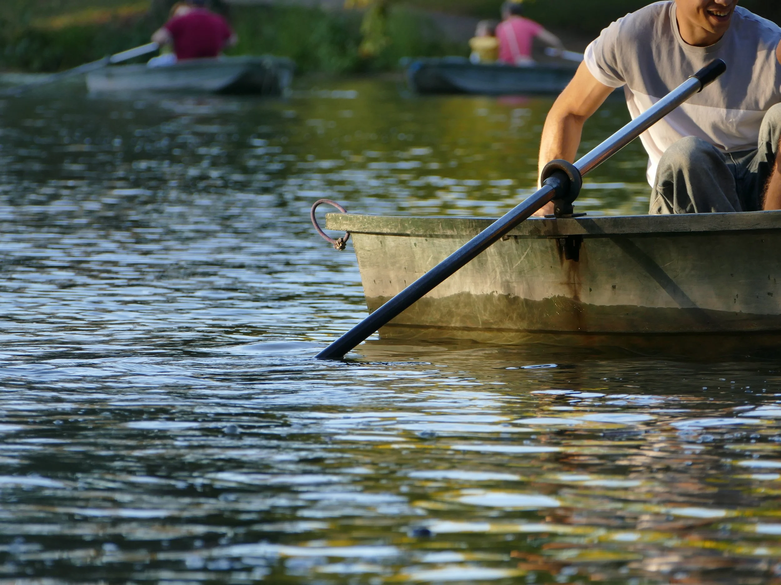 antoine zenner Canards sur l’eau au Parc de l’Orangerie à Strasbourg