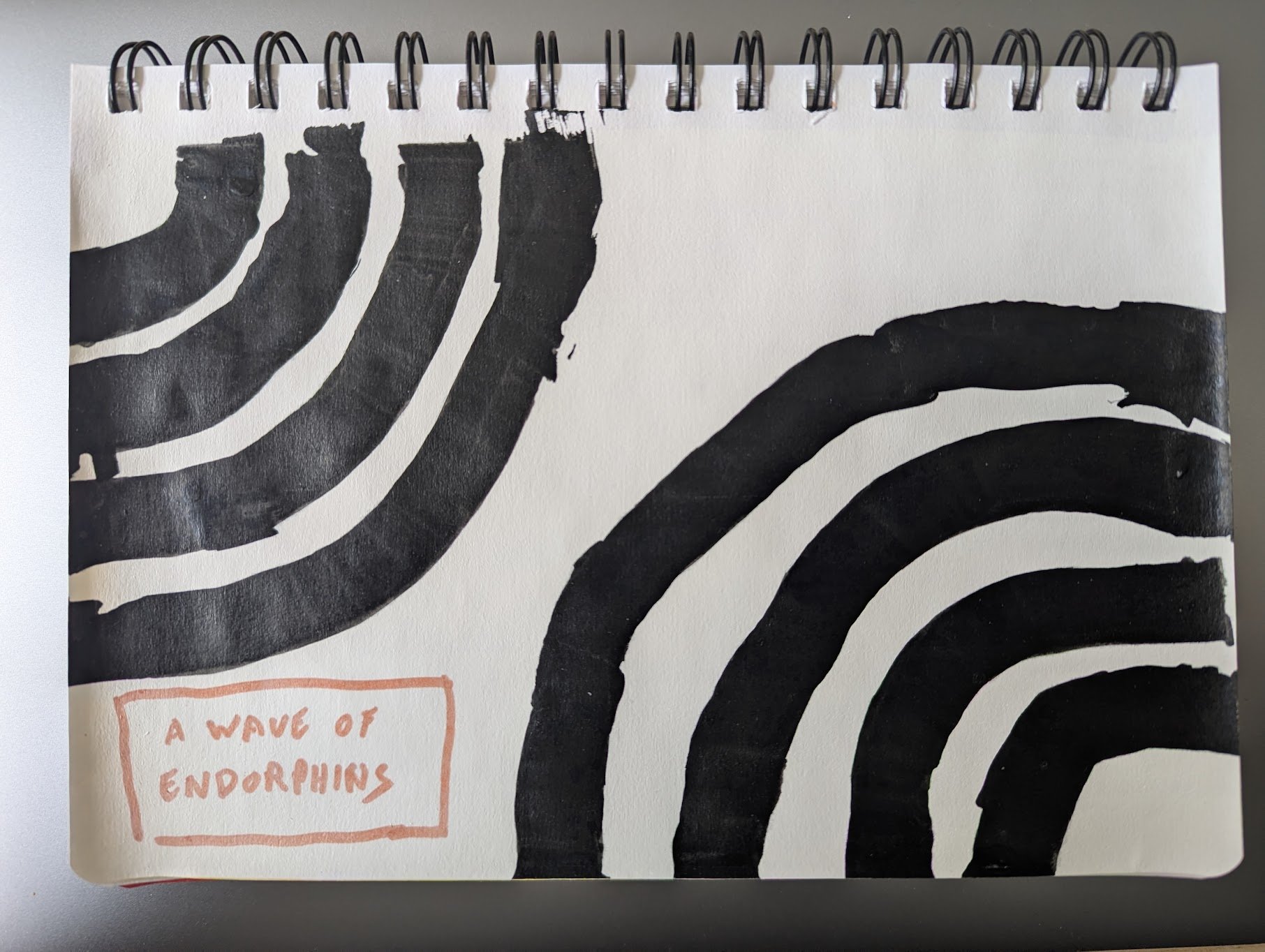 PXL_20251130_030246254.jpg