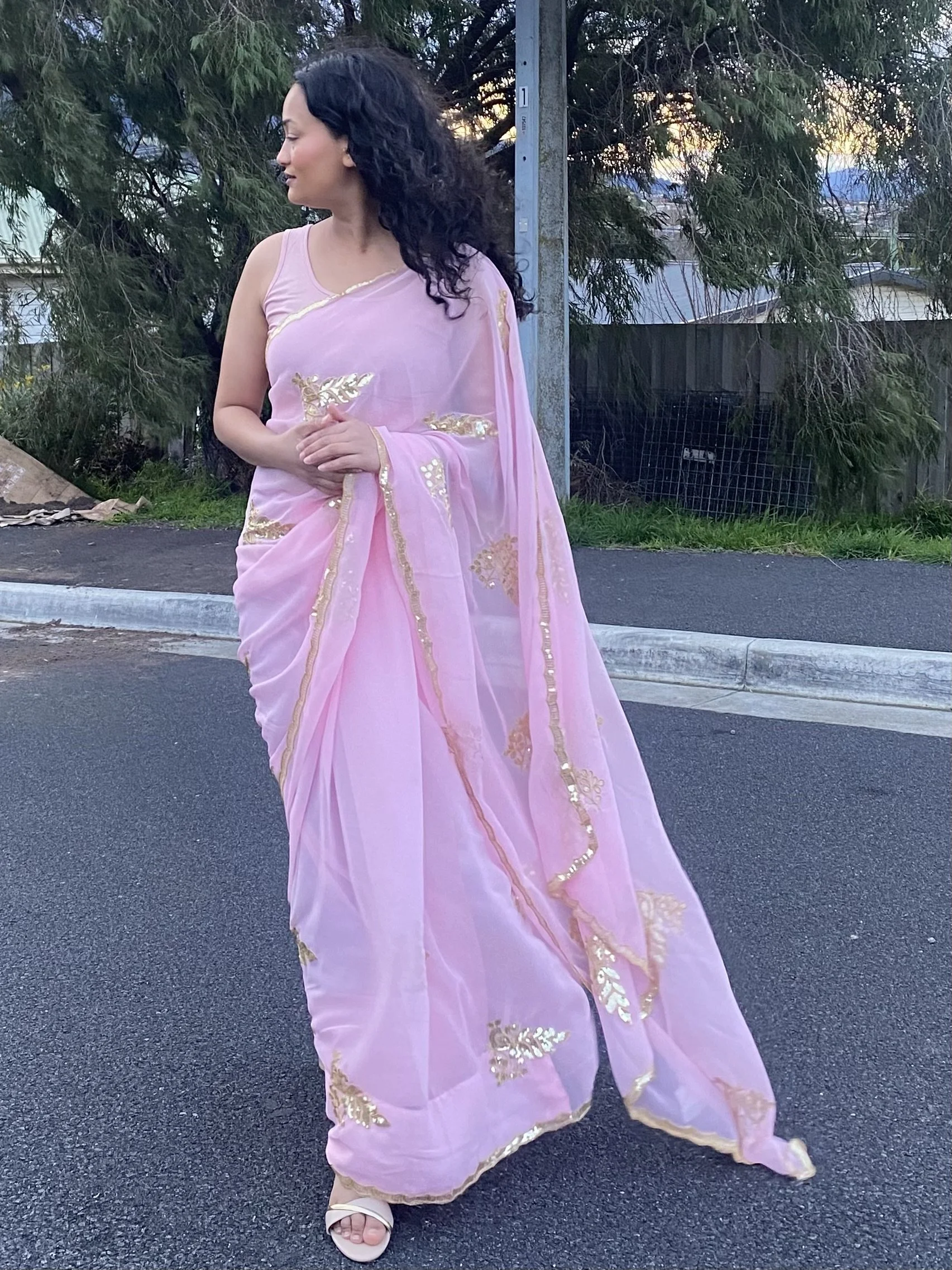 Mayur Sequins Embroidered Saree