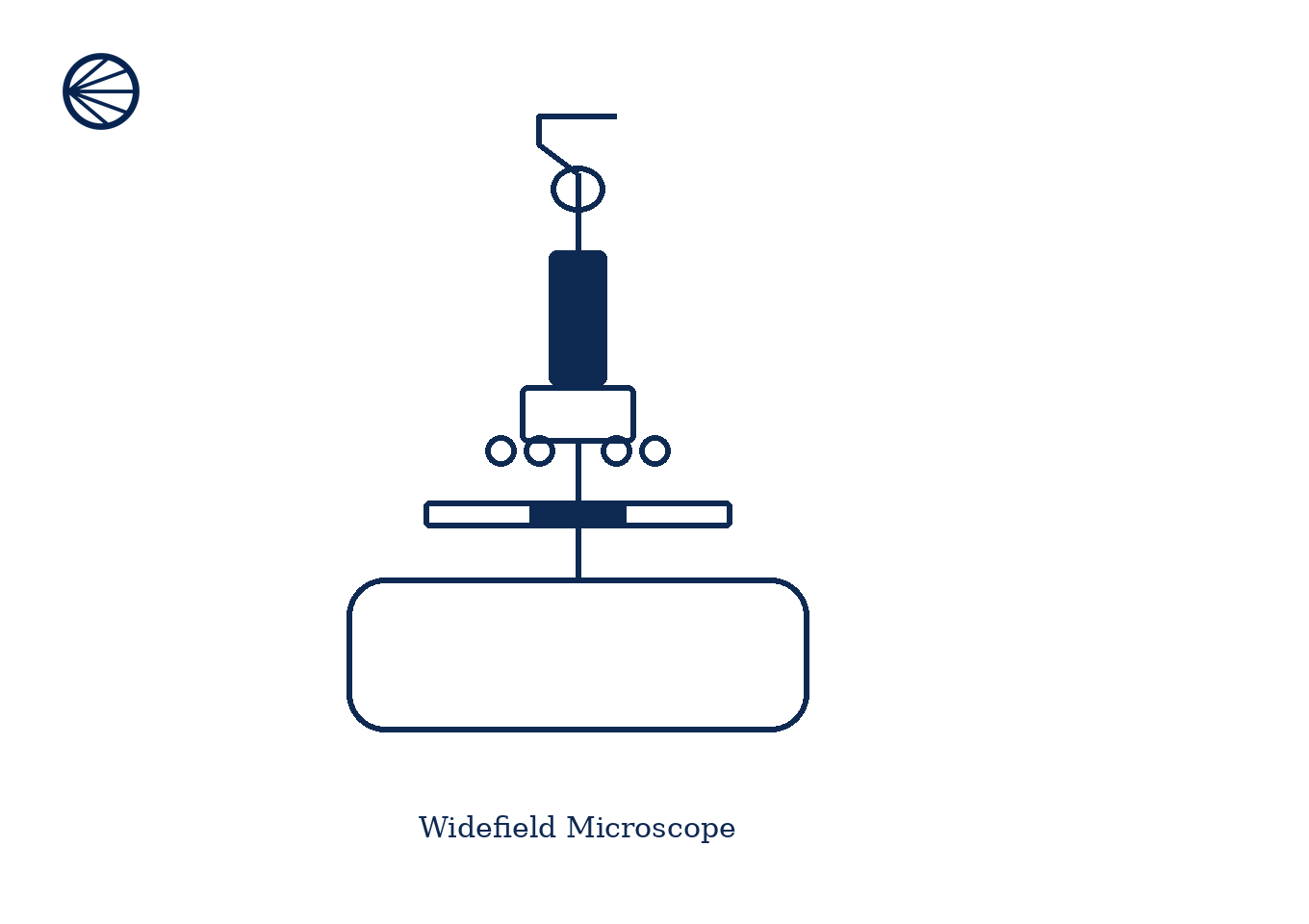 Line drawing of a widefield microscope with a rectangular base, stage, and eyepiece, labeled 'Widefield Microscope'.