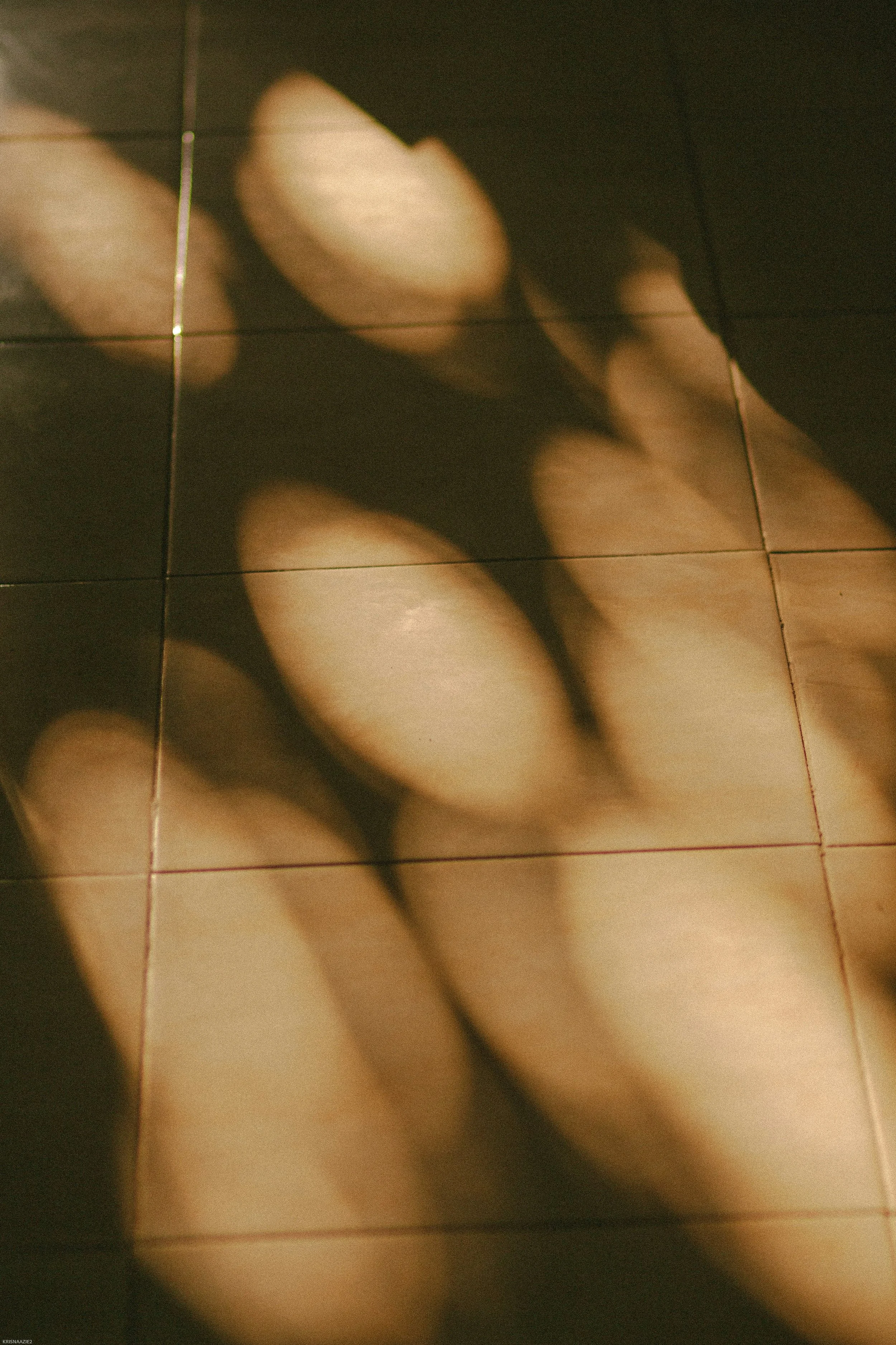 When ADHD affects your relationship and how couples therapy can help