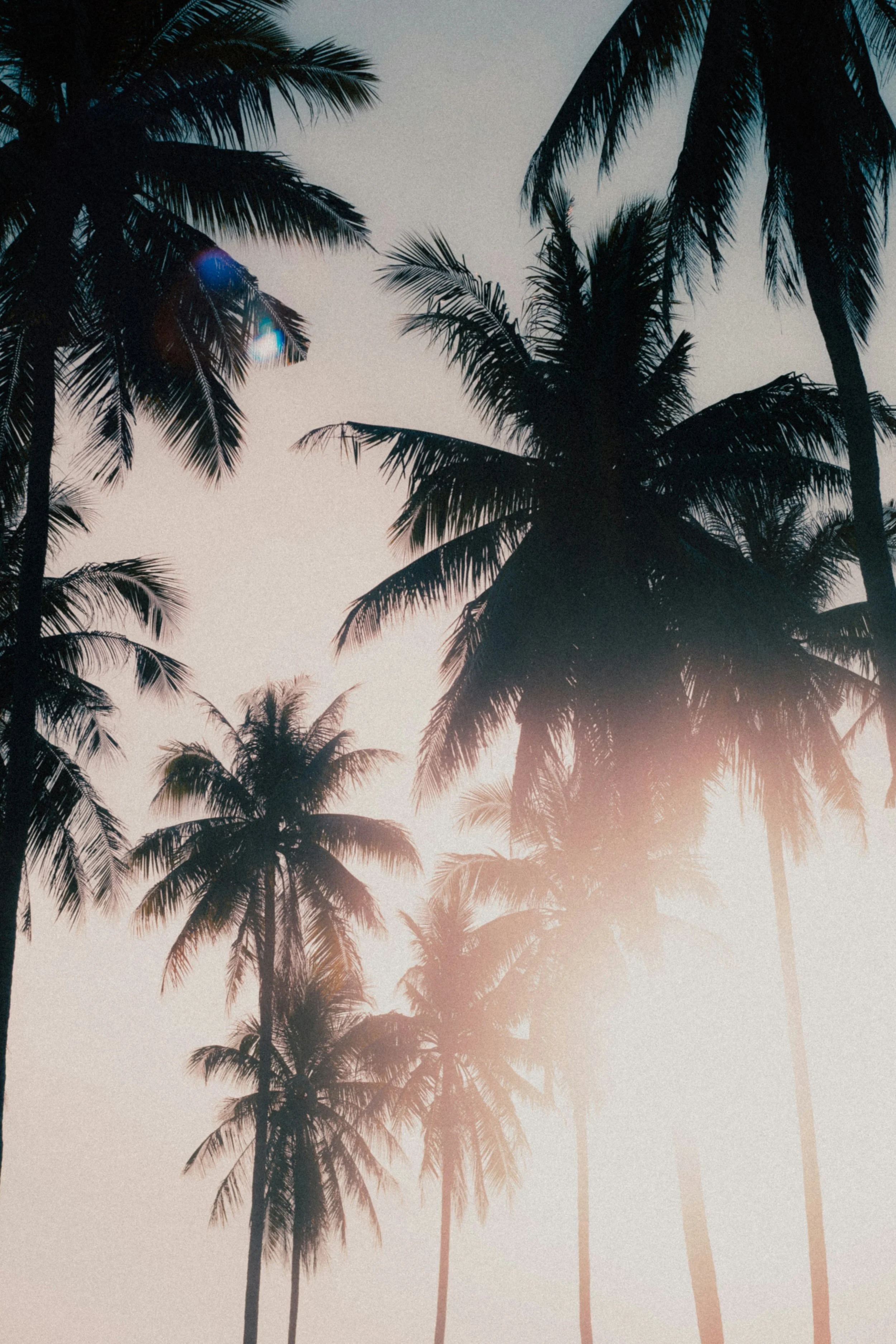 Why am I still so sad in summer?