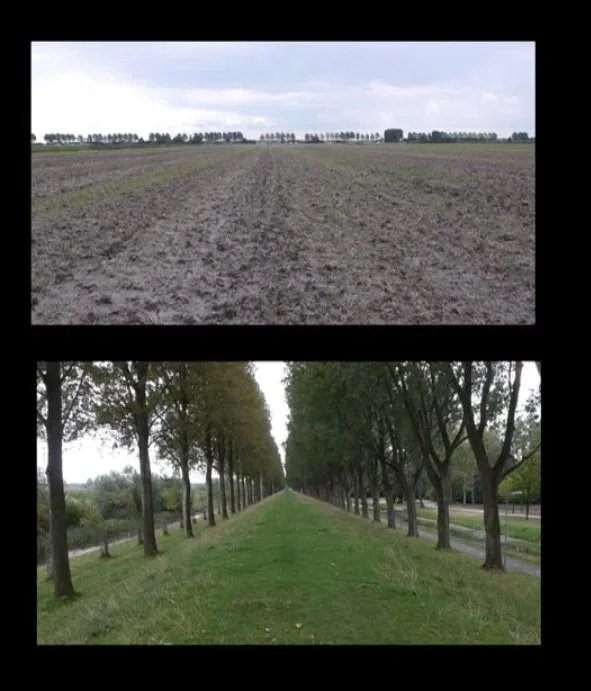 Land Inzicht