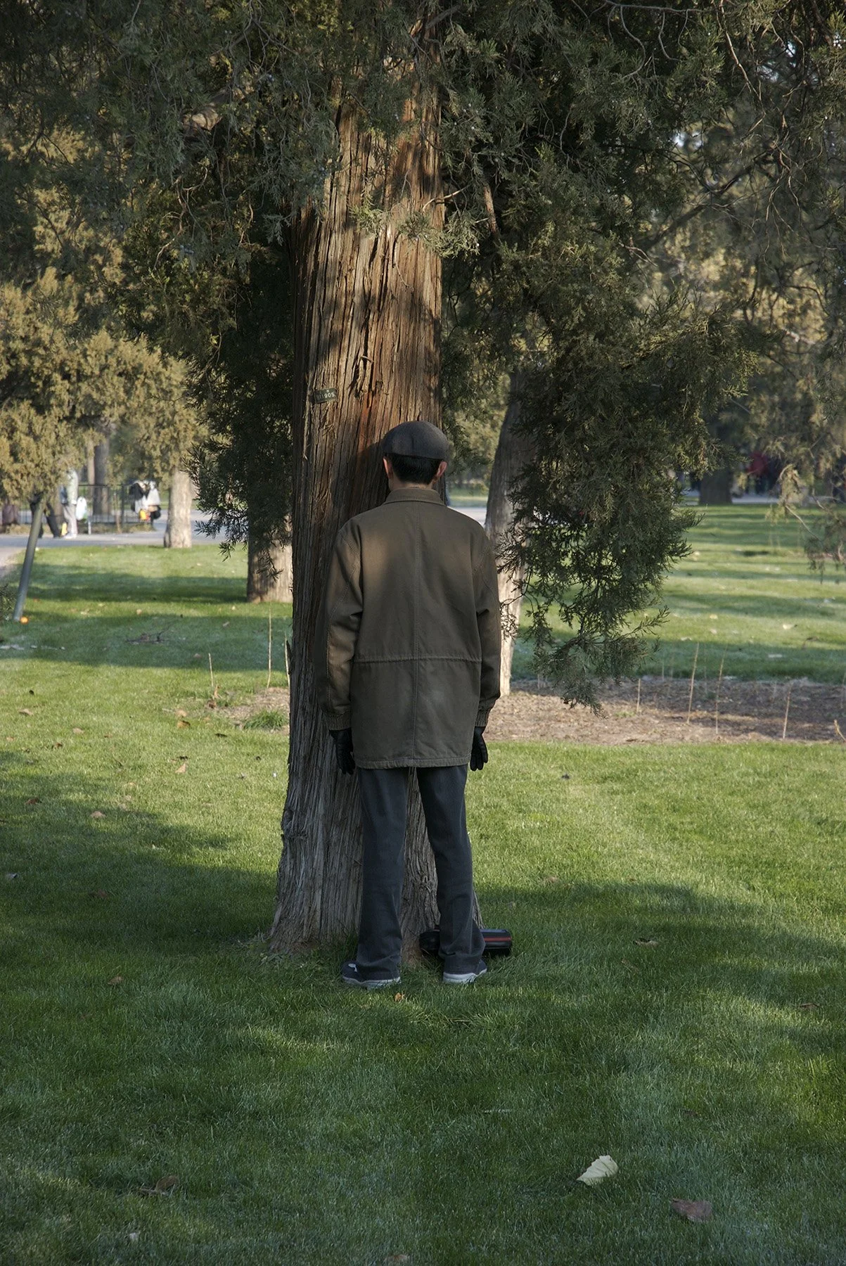 zero  | photo | 2007