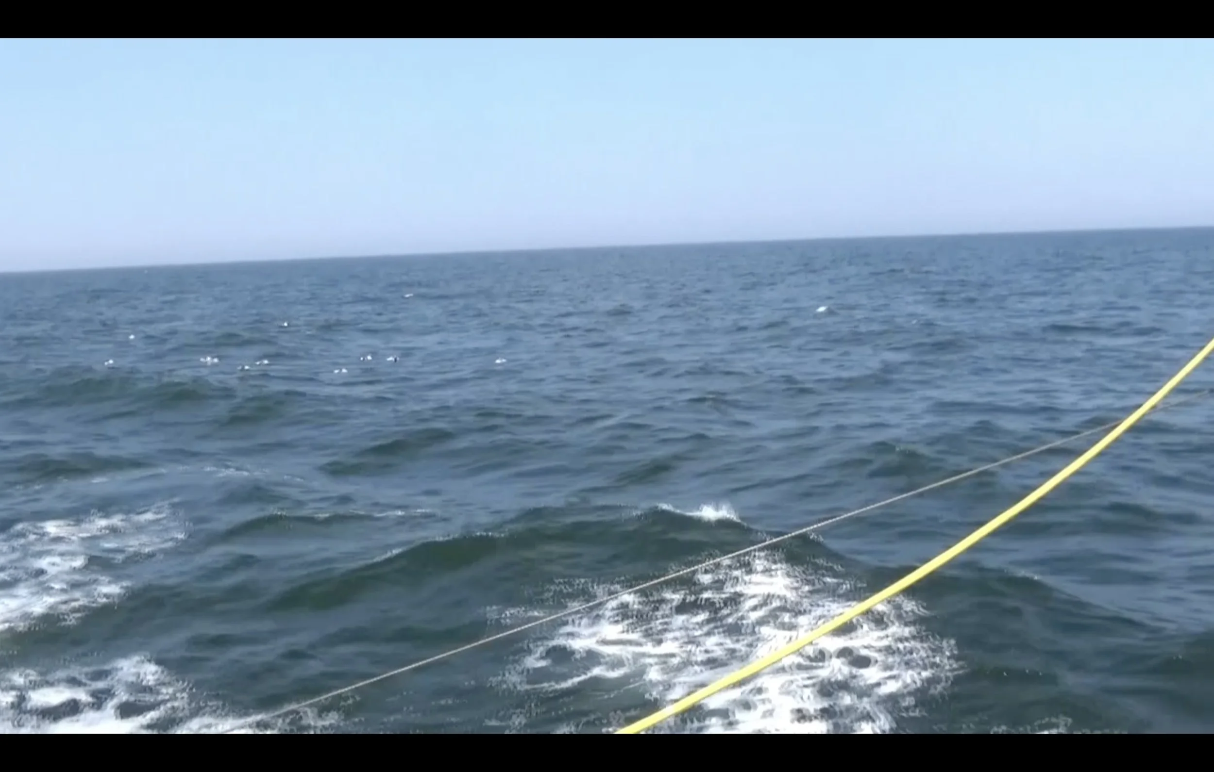 Act of the Sea 3.DvVree.jpg