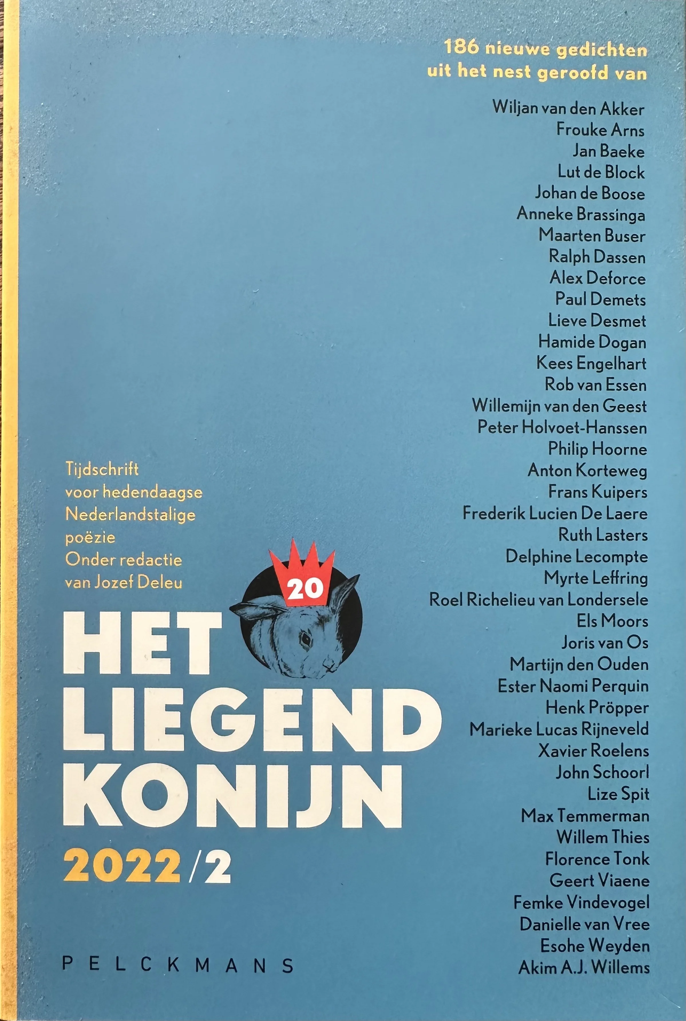 liegend konijn.jpg