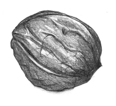 Afbeelding3.jpg