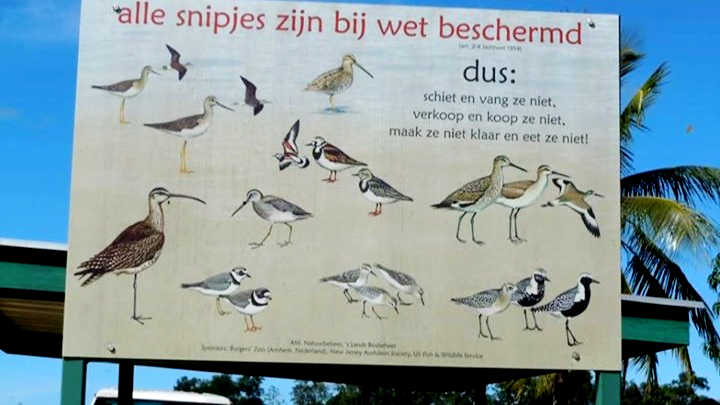 Kanaries in de kolenmijn