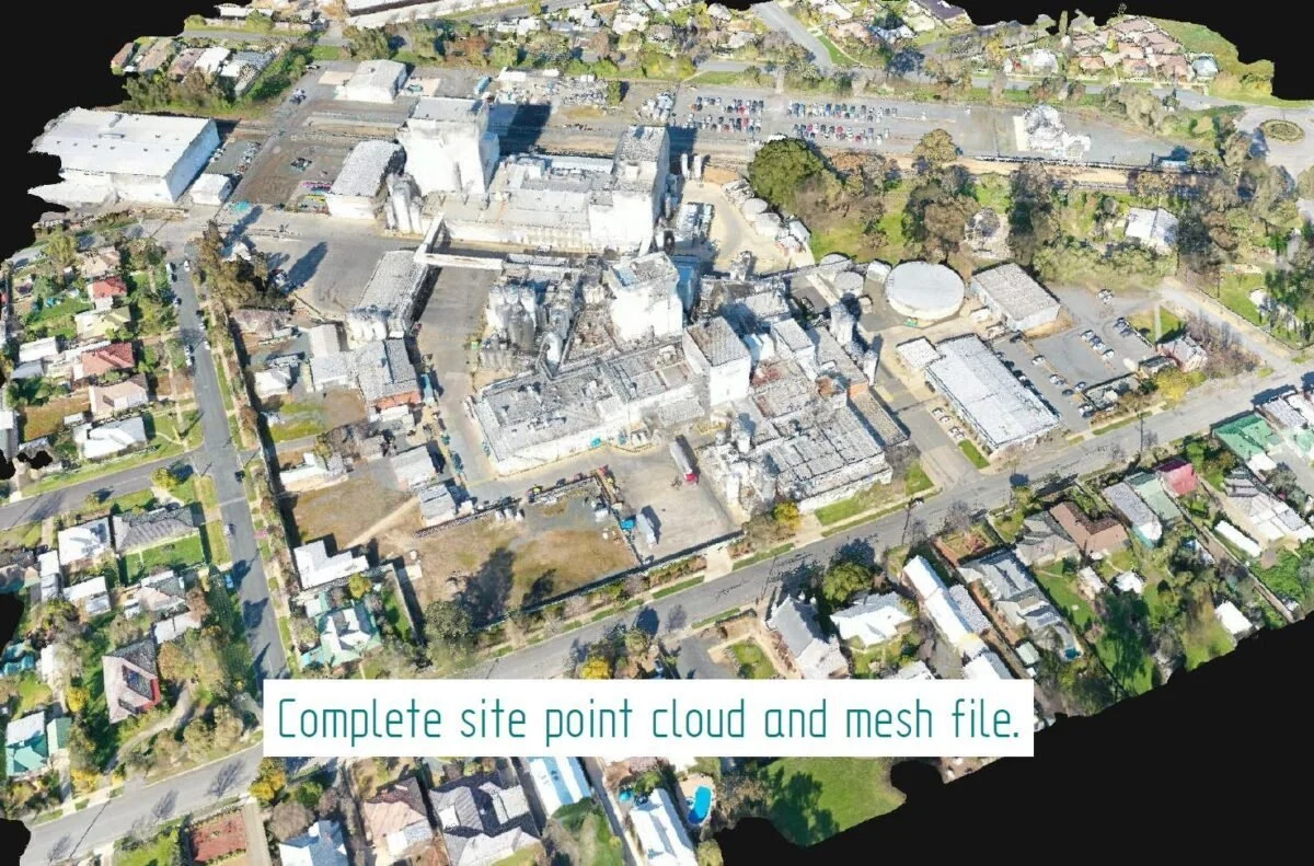 01-site-point-cloud.jpg