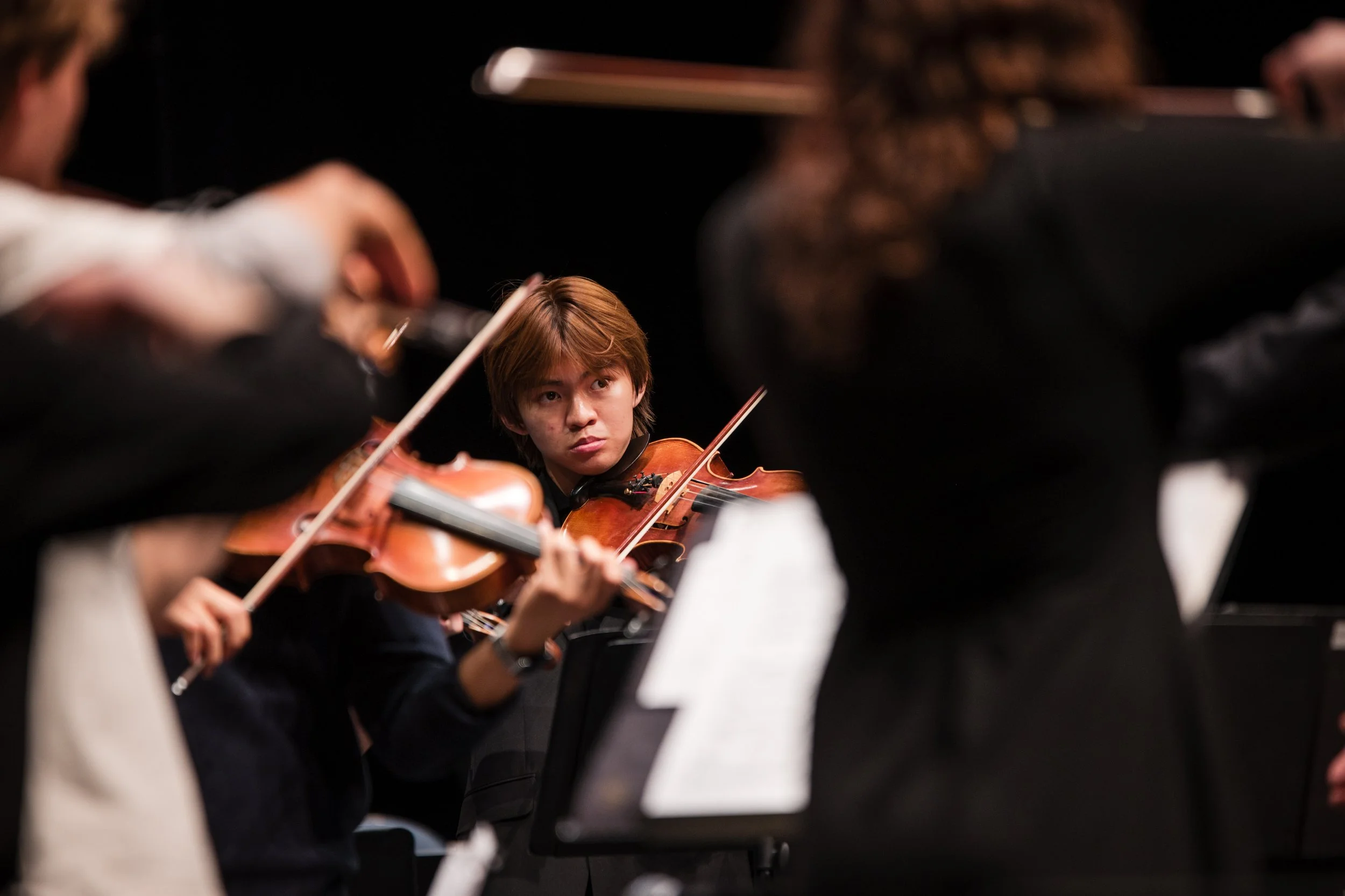 A group of musicians playing violins during an orchestra performance, focused on a young man with brown hair.