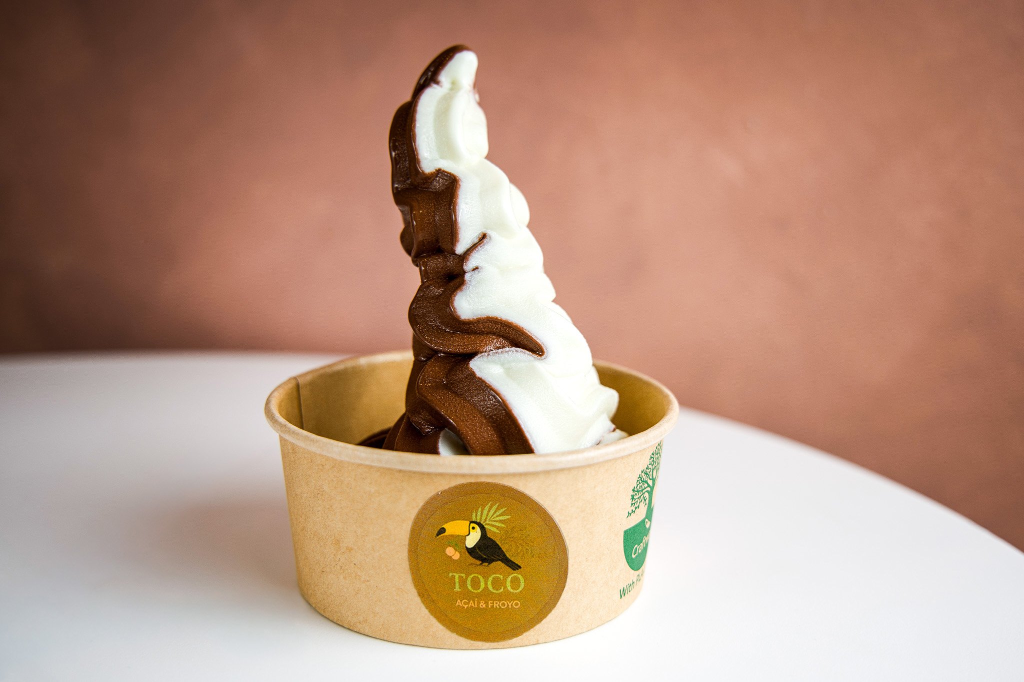 Soft serve ice cream in a paper cup with vanilla and chocolate swirl, featuring a toucan illustration and text 'TOCO AGUA & FROYO' on the cup.