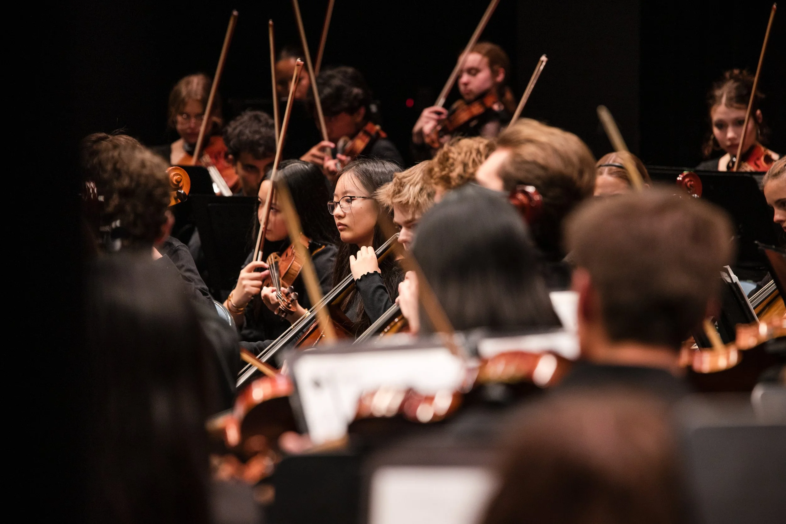 Orchestra musicians playing string instruments during a performance in a dark concert hall.